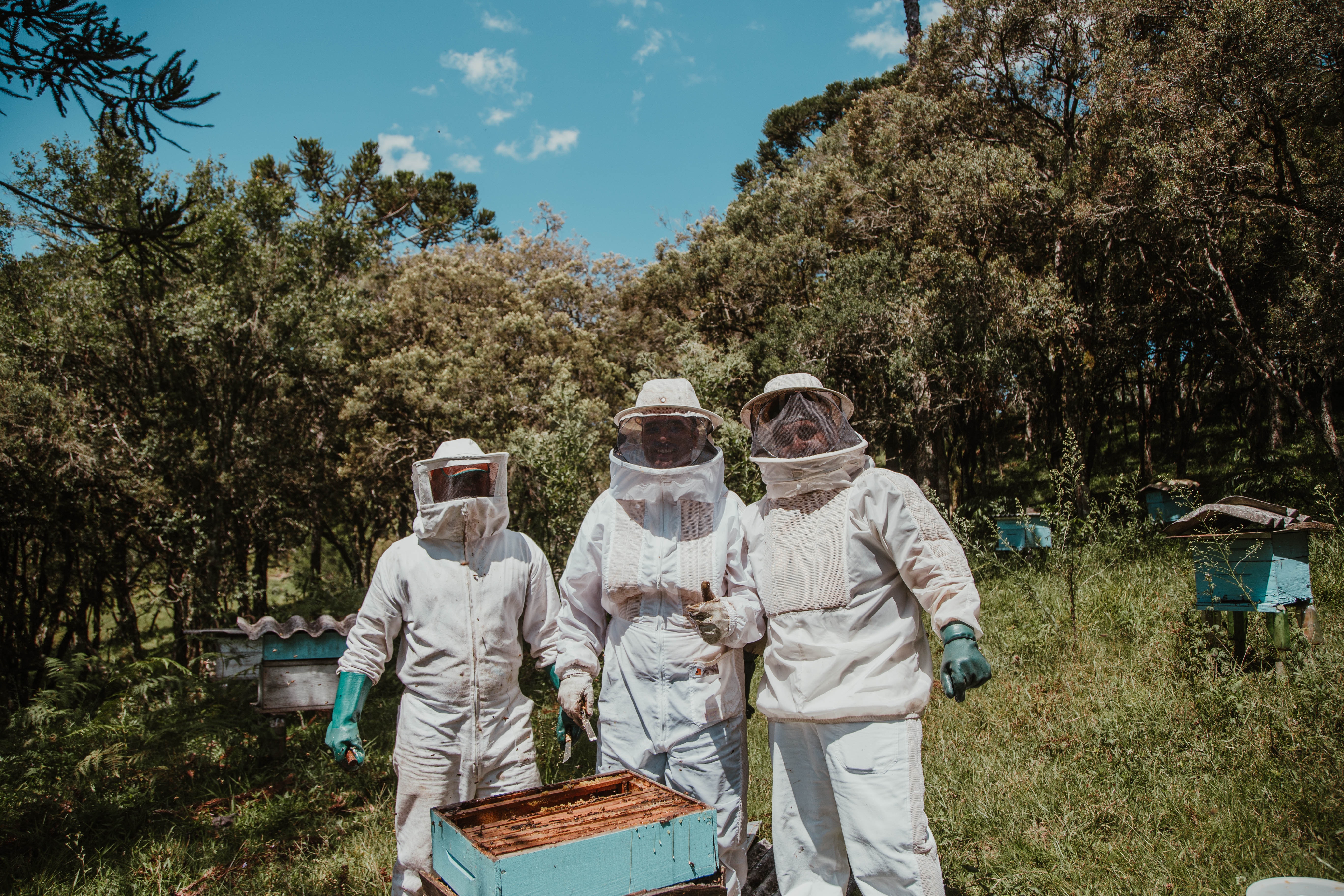 Best Beekeeping Photo · 100% Free Downloads