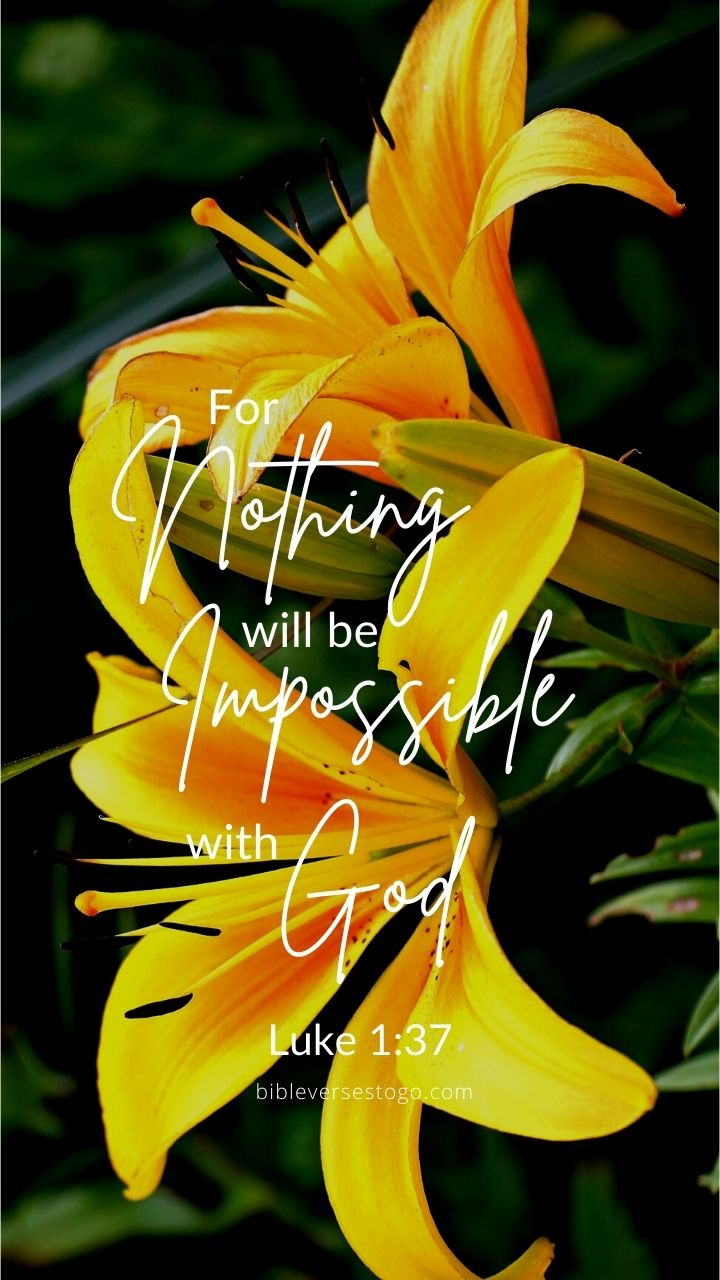 Yellow Lilies Luke 1:37 Phone Wallpaper Verses To Go