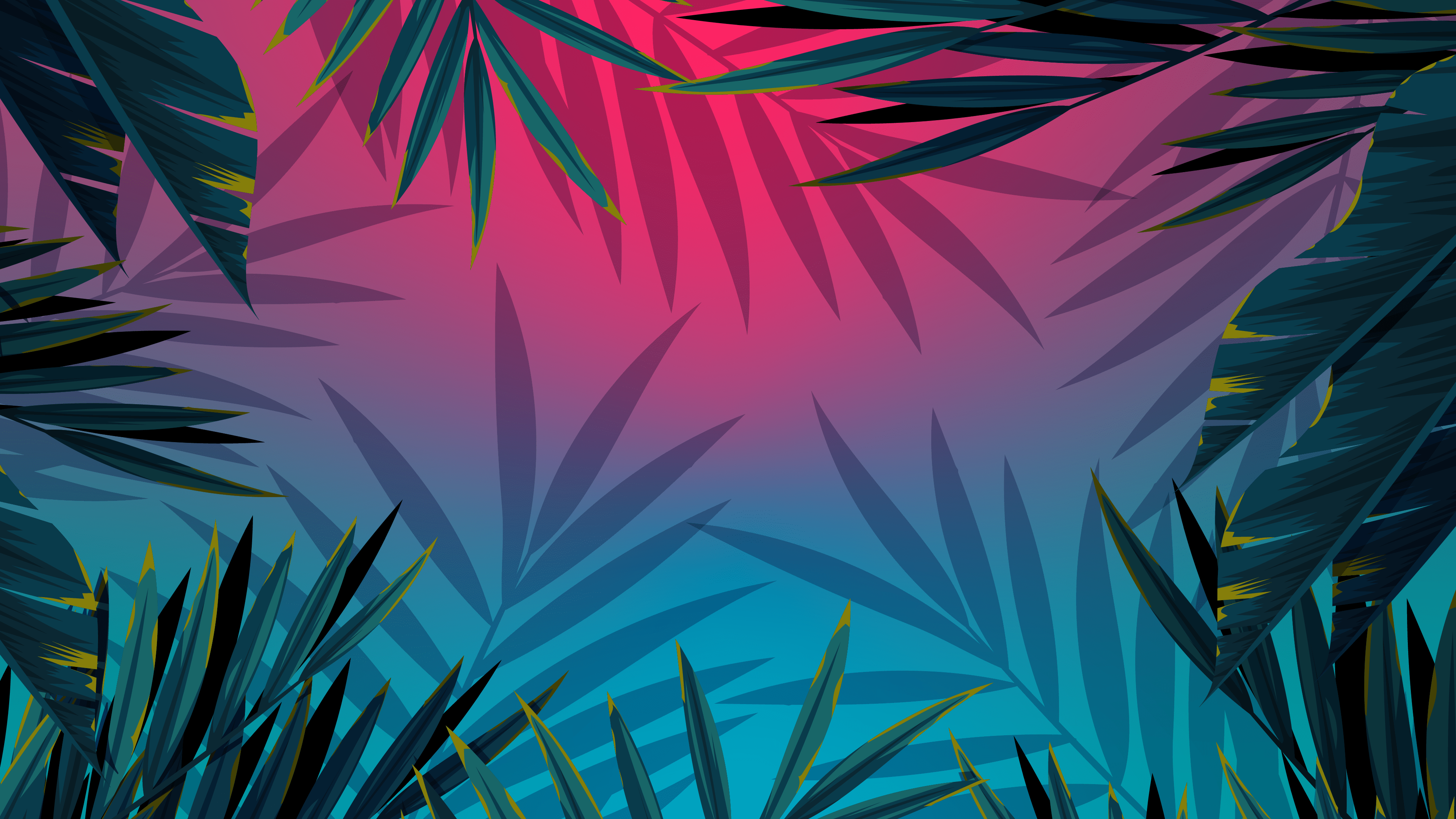 Palm Leaves Wallpaper For Tech