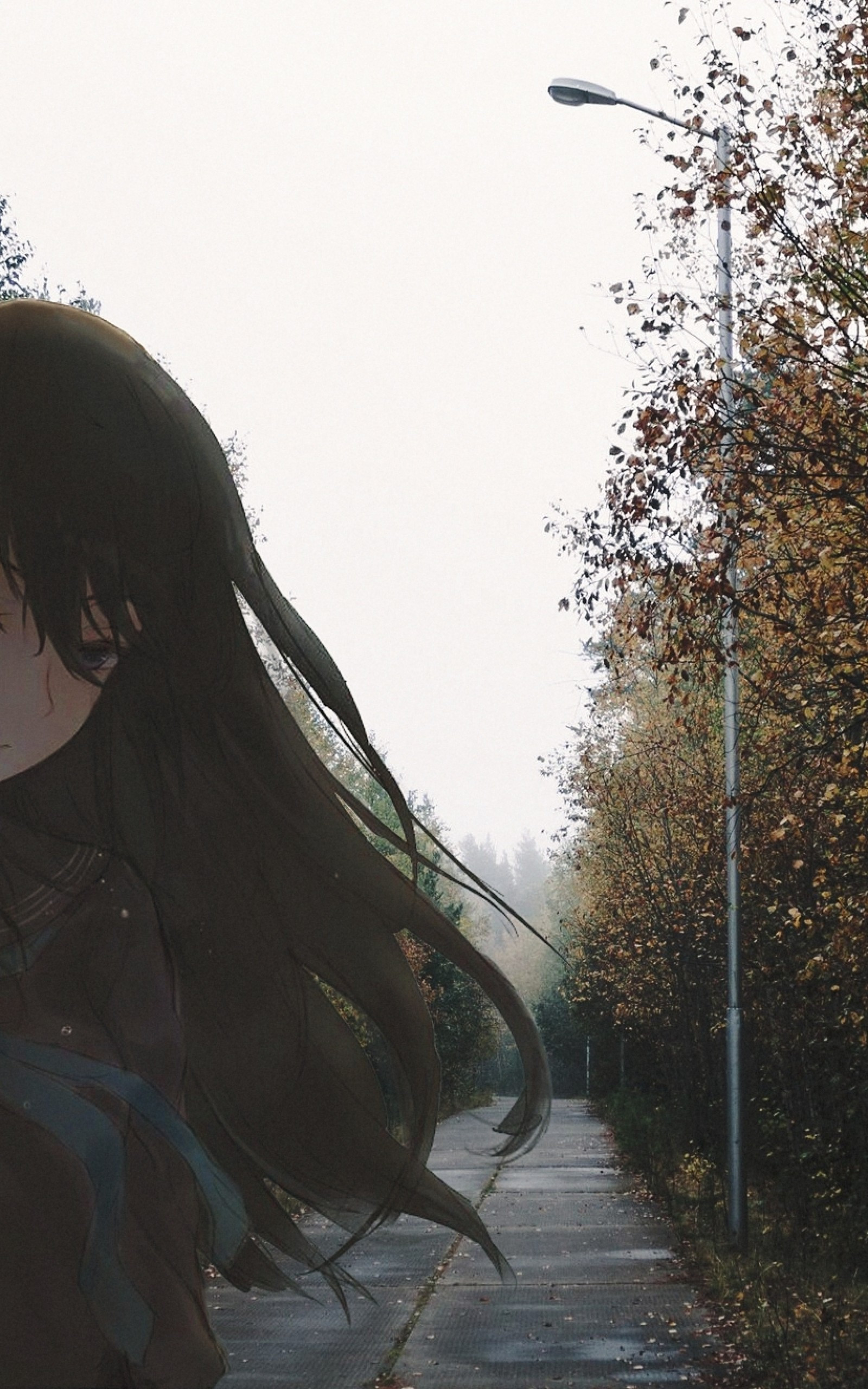 Download 1600x2560 Anime Girl, Sad Expression, Black Hair Wallpaper for Google Nexus 10