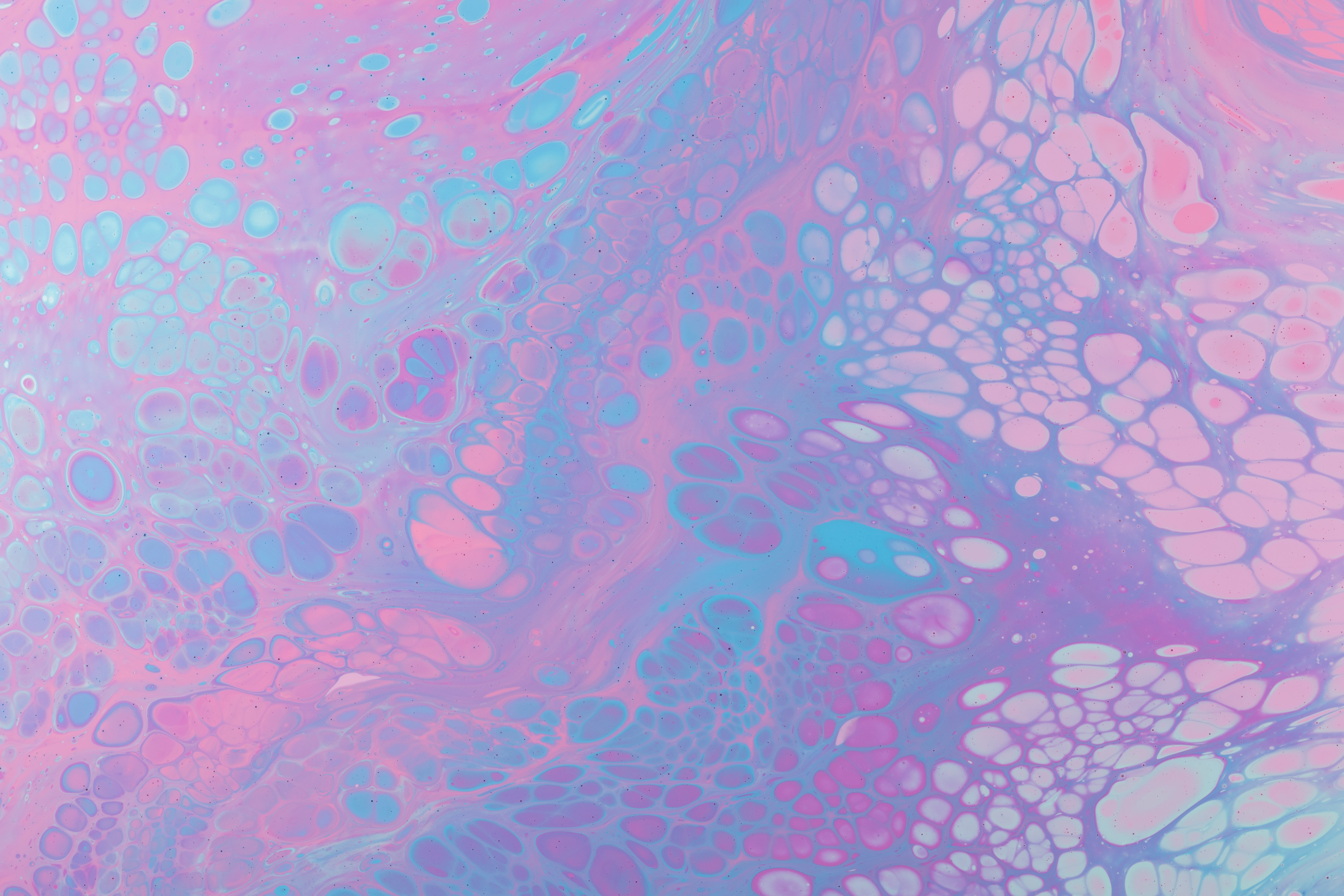 Pink White Blue Purple Paint Splash Paint Splatter Abstract Colorful Wallpaper:6000x4000