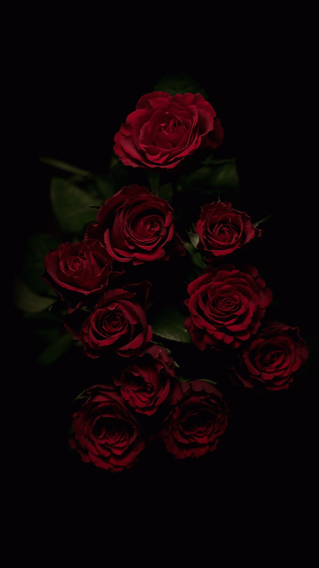 Free download Dark Flower Aesthetic Wallpaper Top Dark Flower Aesthetic [1440x2880] for your Desktop, Mobile & Tablet. Explore Dark Aesthetic Wallpaper. Dark Aesthetic Wallpaper, Dark Bomber Aesthetic Wallpaper, Aesthetic Wallpaper