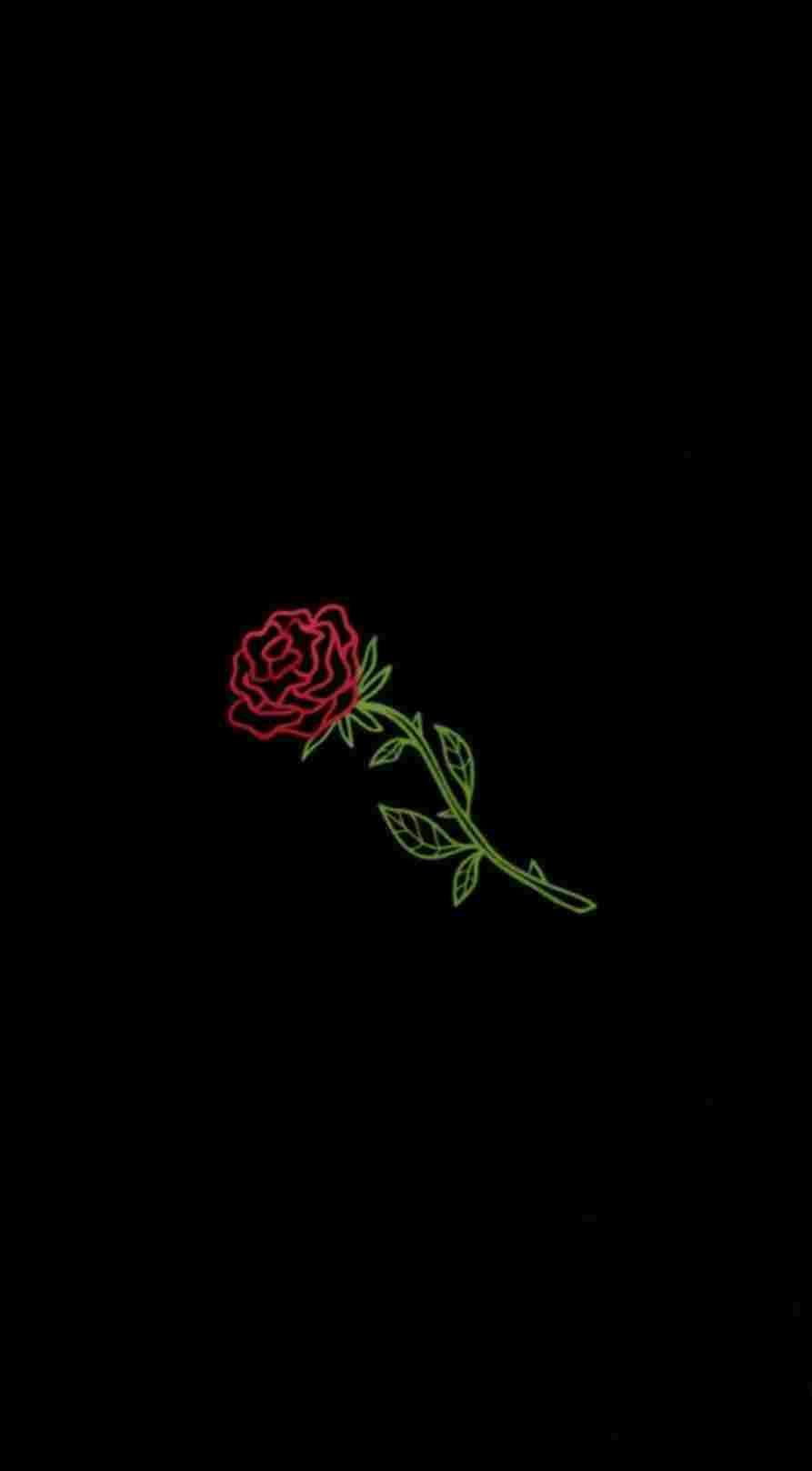 Aesthetic Rose Wallpaper