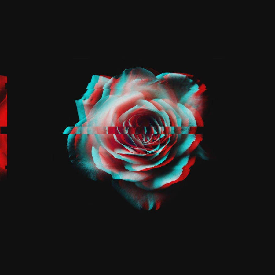 Download Trippy Dark Aesthetic Glitched Rose Wallpaper
