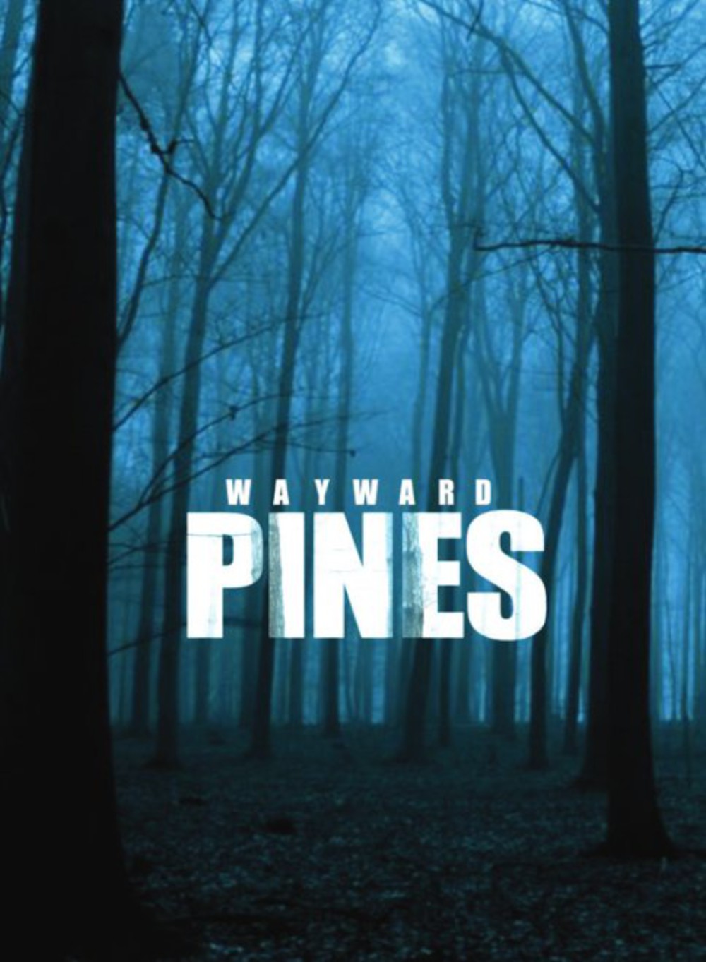 Wayward Pines Poster Pines Photo