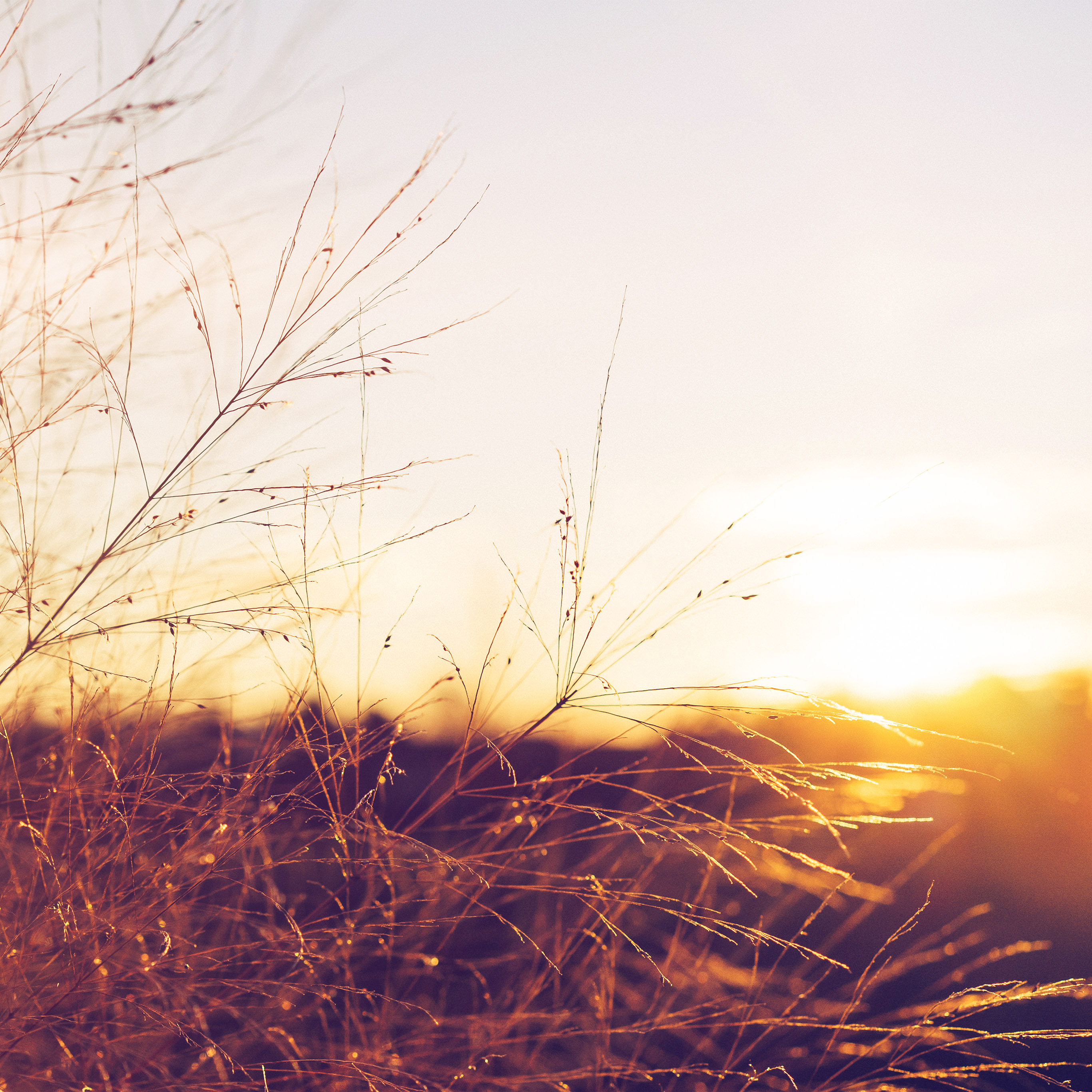 Sunset Over Field Wallpapers - Wallpaper Cave