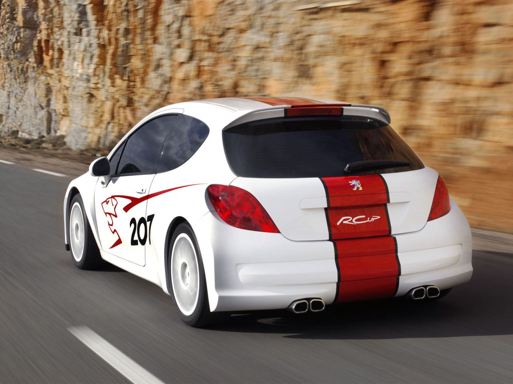 Peugeot 207 RCup