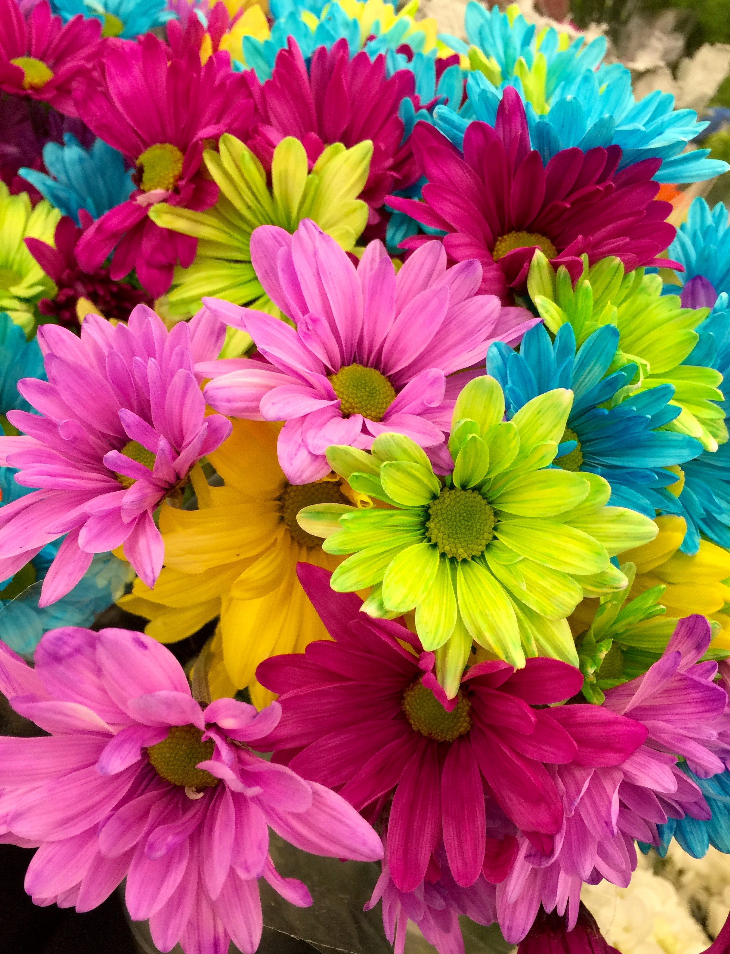100,Best Bunch Of Flowers Photo · 100% Free Downloads