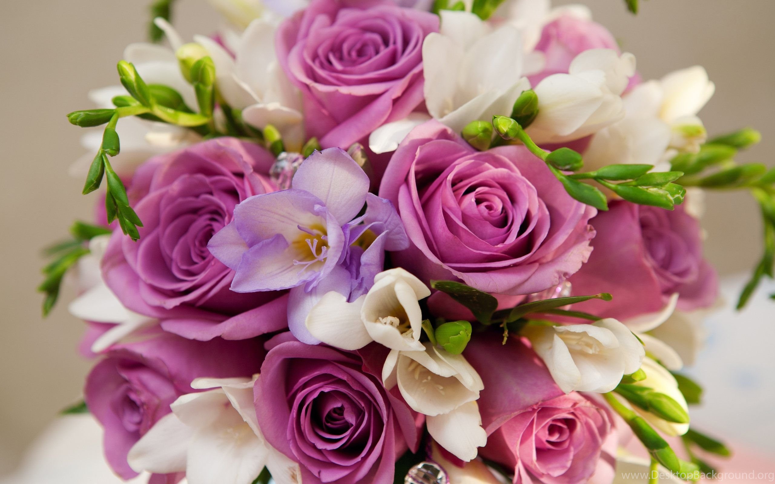 Flower Bouquets Image And Wallpaper Download Desktop Background
