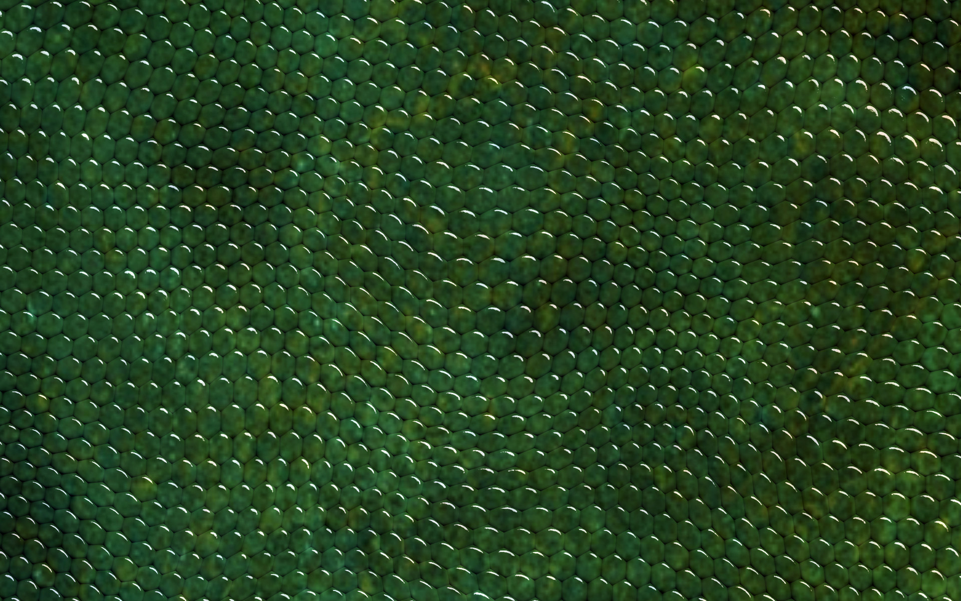 Download Wallpaper Green Snake Skin, Close Up, Reptile Skin, Snake Skin Textures, Green Snake, Macro, Leather Background, Snake Skin For Desktop With Resolution 1920x1200. High Quality HD Picture Wallpaper