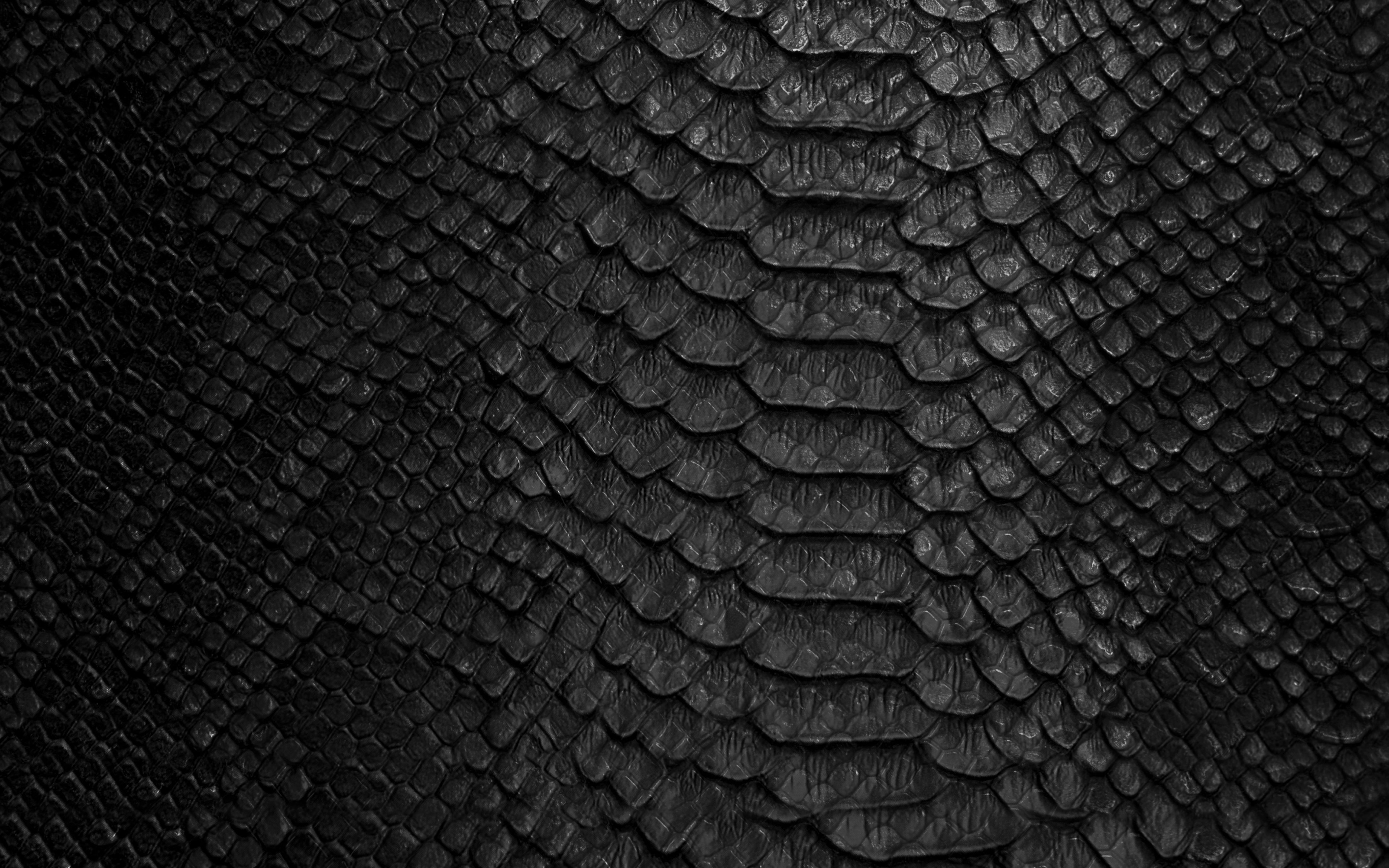 Download wallpaper black snake leather texture, snake skin background, cobra texture, black creative background, snake for desktop with resolution 3840x2400. High Quality HD picture wallpaper