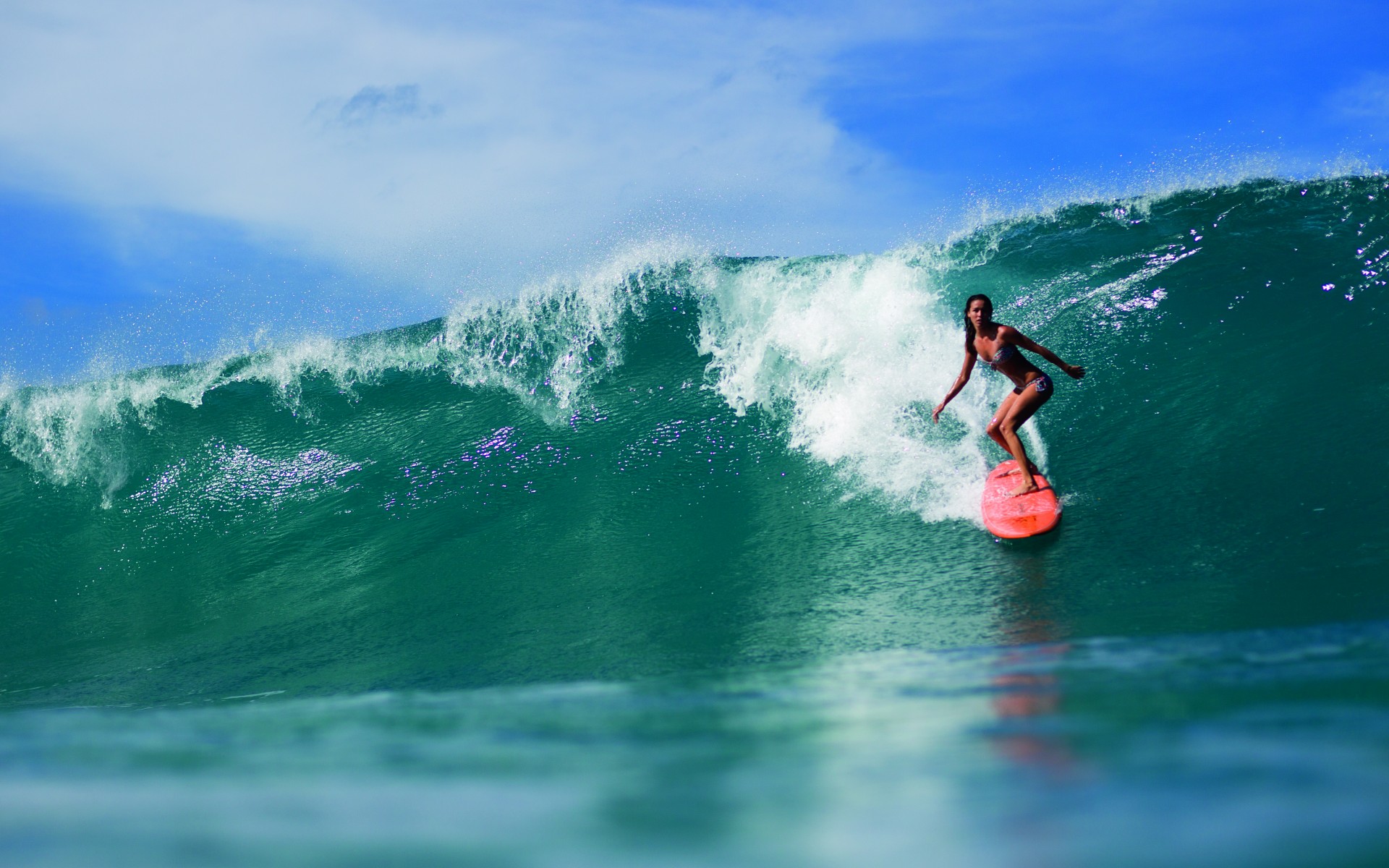 Girls Surfing Wallpaper
