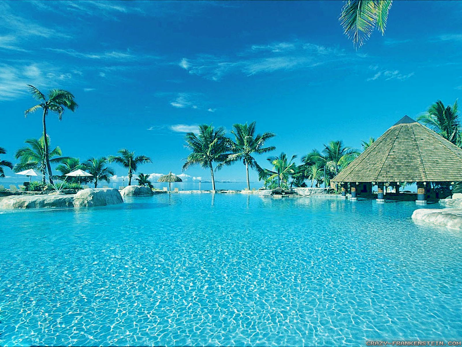 free summer wallpaper, swimming pool, resort, vacation, caribbean, tropics