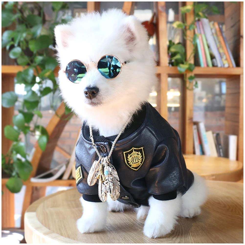 Pcs Pet Sunglasses Dog Eye Wear Cat Glasses Little Dog Glasses Photo Props Dog Cat Accessories Pet Supplies For Small Dogs Products, Amazon.ca: Pet Supplies