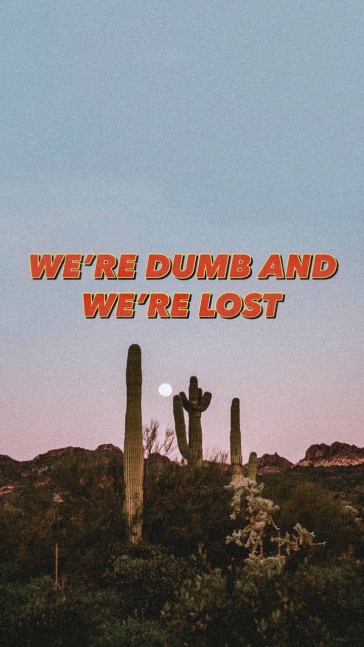 Wallpaper, Quotes, And Cactus Image Wallpaper Aesthetic