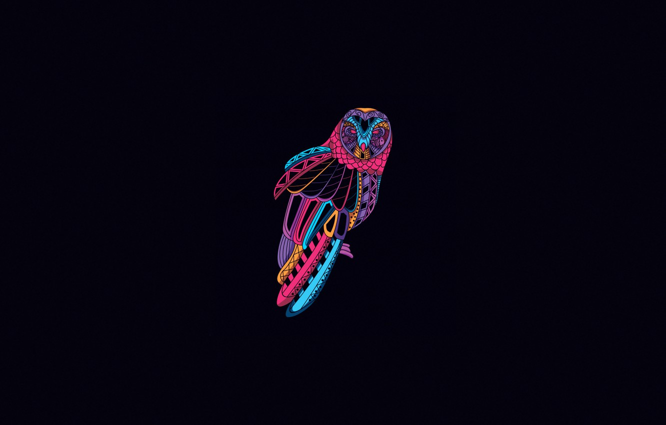 Wallpaper Minimalism, Owl, Bird, Style, Art, Art, Abstract, Style, Color, Neon, Owl, Background, Illustration, Minimalism, Animal, Decoration image for desktop, section минимализм