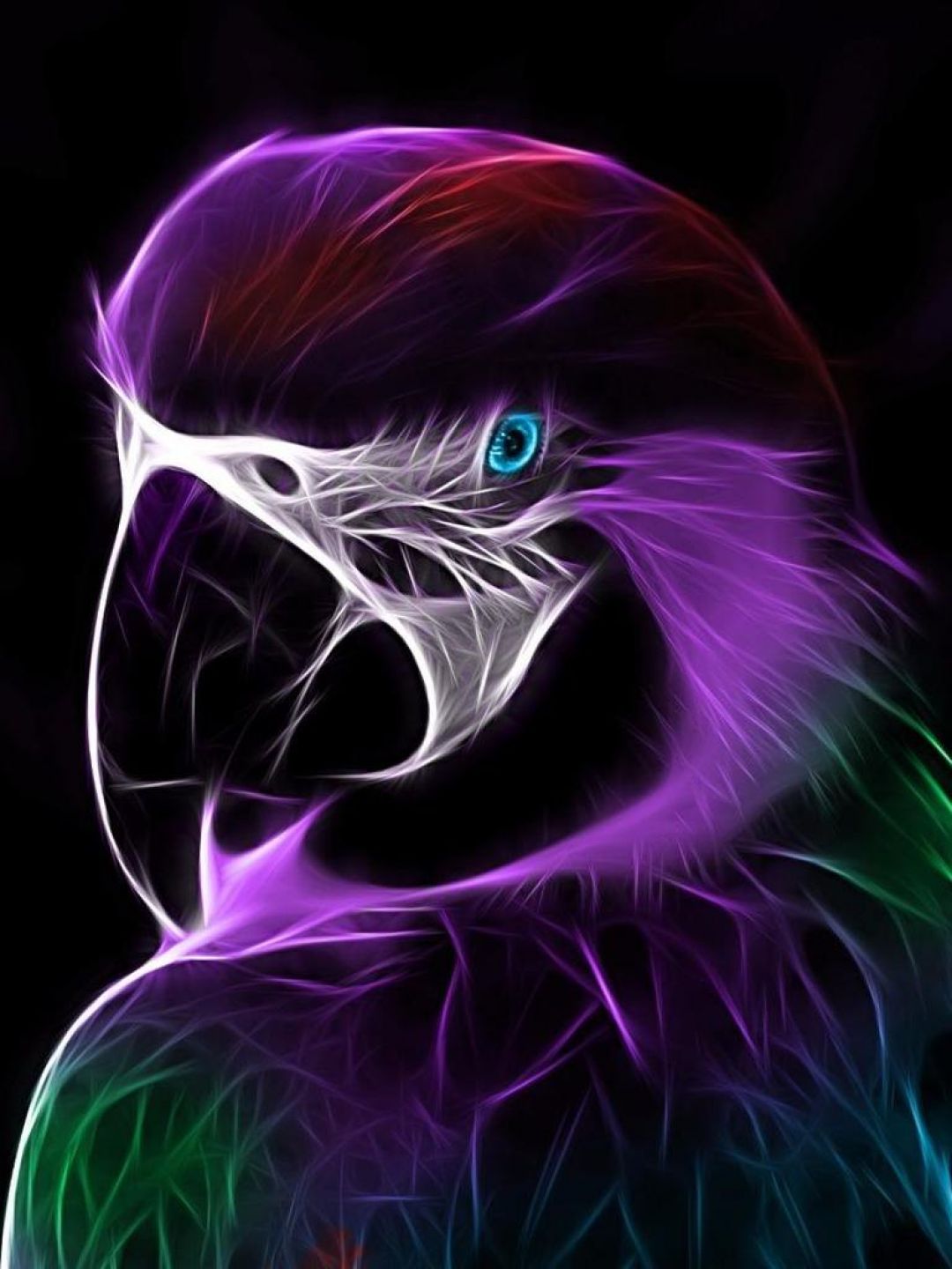 Neon Bird Wallpapers - Wallpaper Cave