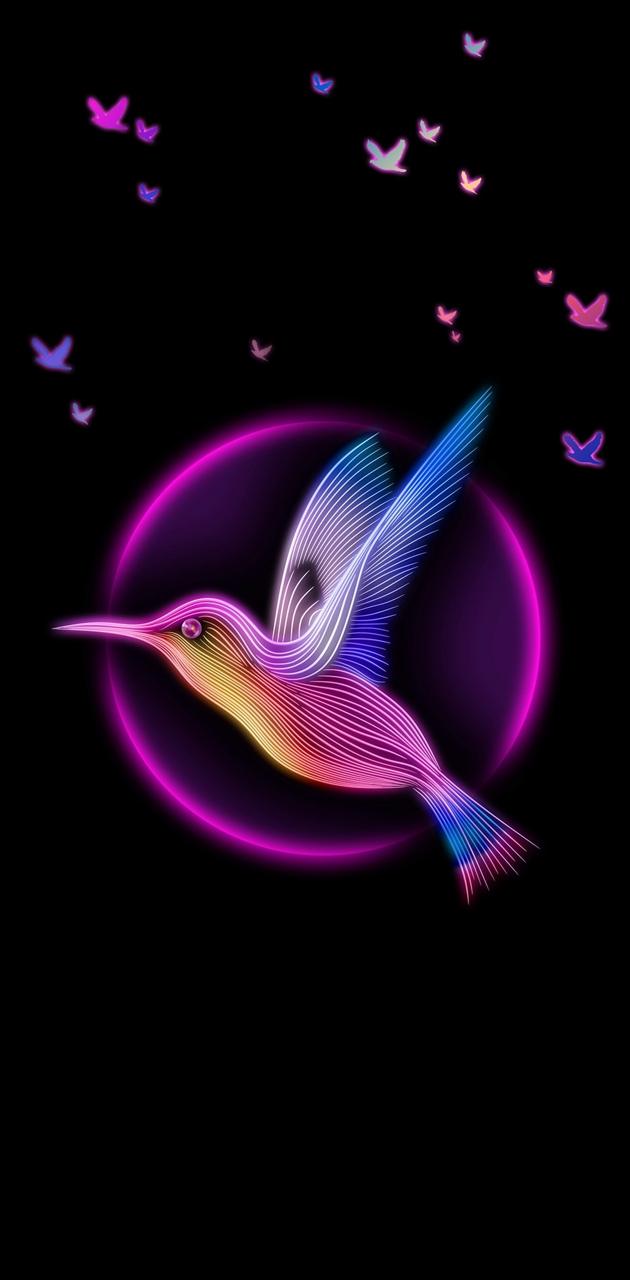 Neon Bird Wallpapers - Wallpaper Cave