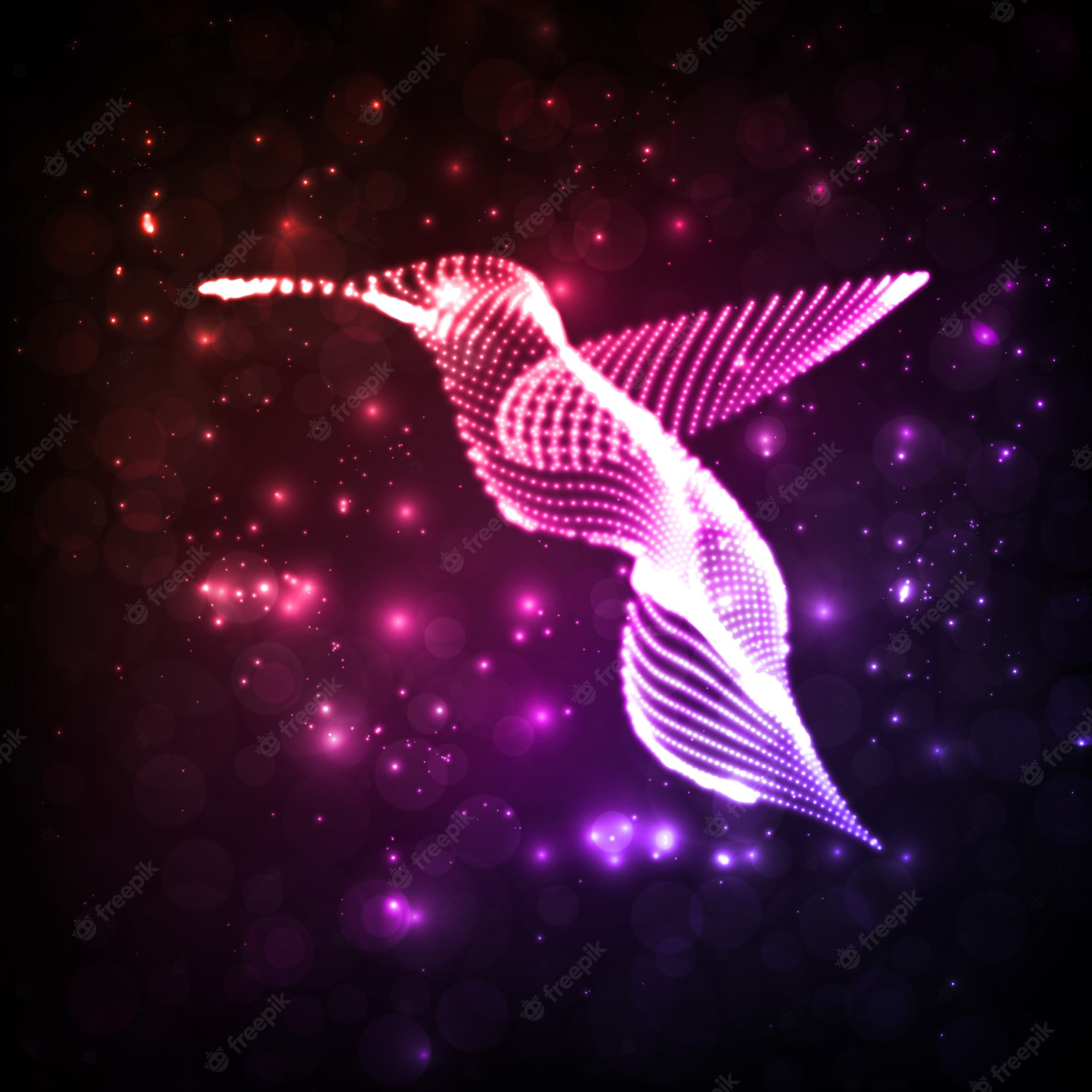 Neon Bird Wallpapers - Wallpaper Cave