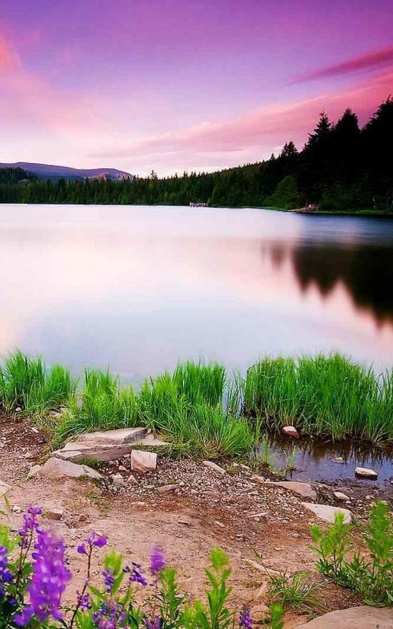 Nature Scenery Nexus 7, Samsung Galaxy Tab 10, Note Android Tablets HD 4k Wallpaper, Image, Background, Photo and Picture