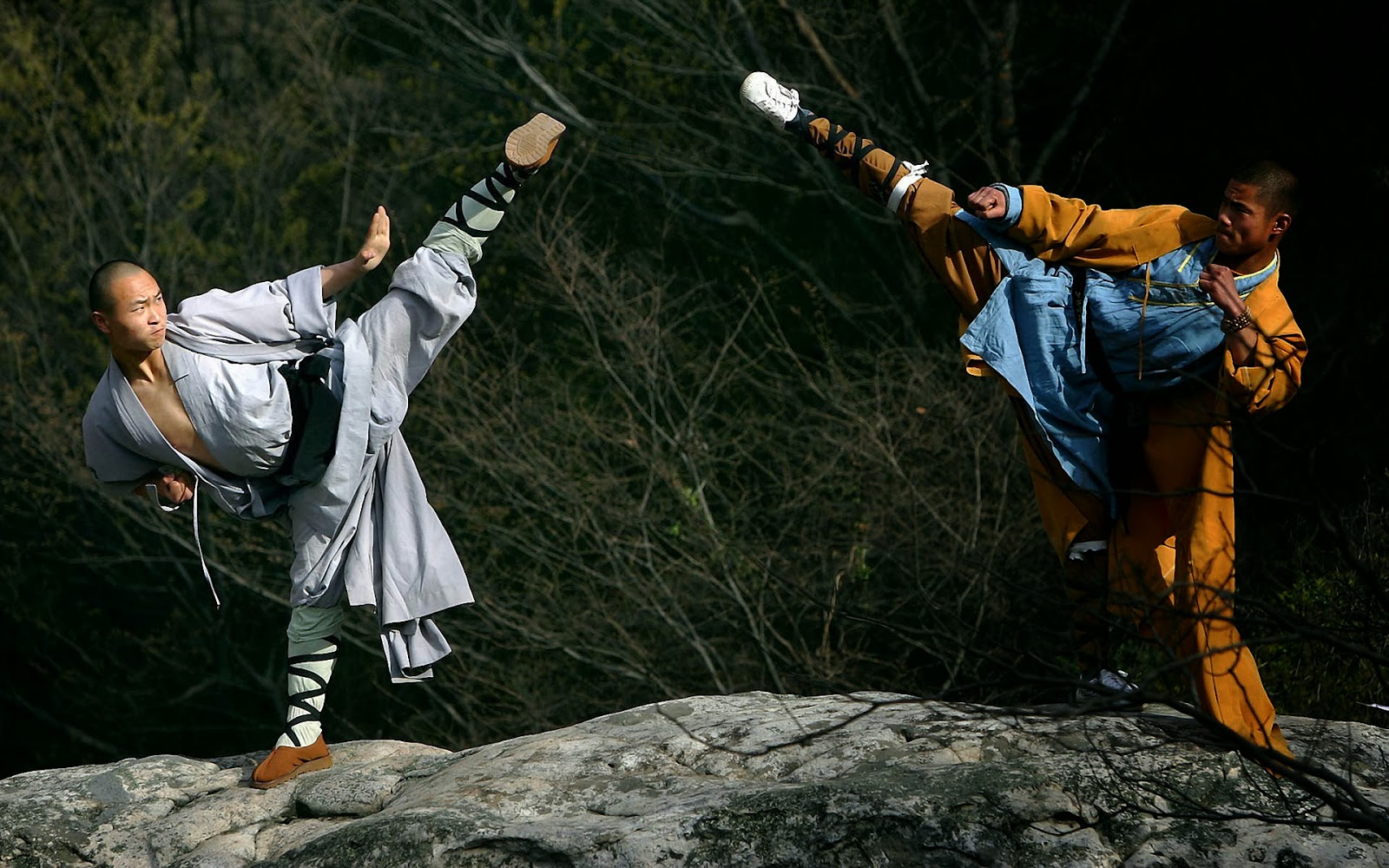 Anime Kung-Fu Videos HipHop Sci-Fi films Shaolin movies Music doumentaries  | eBay
