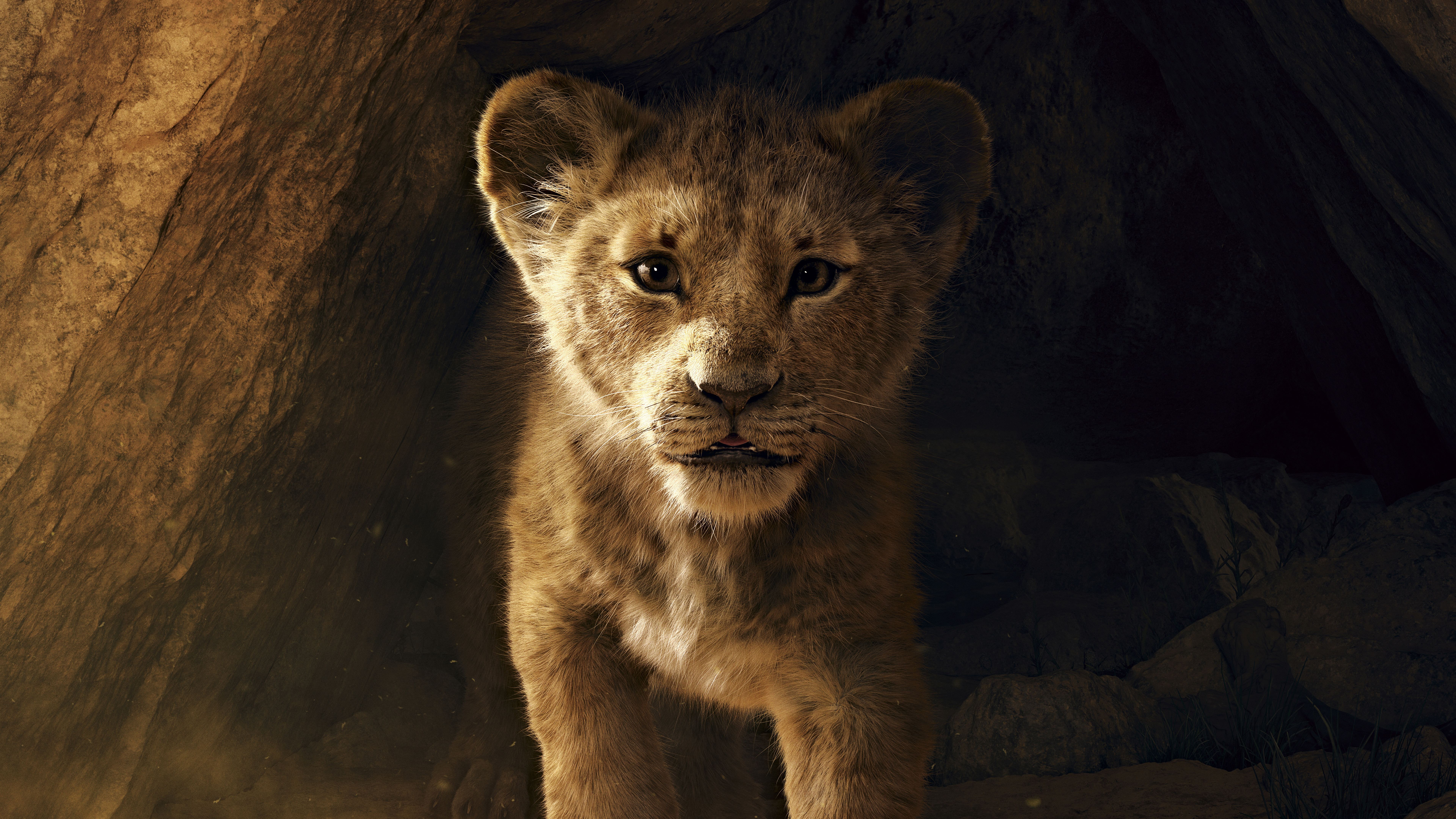 The Lion King 2019 Simba 8K Wallpaper