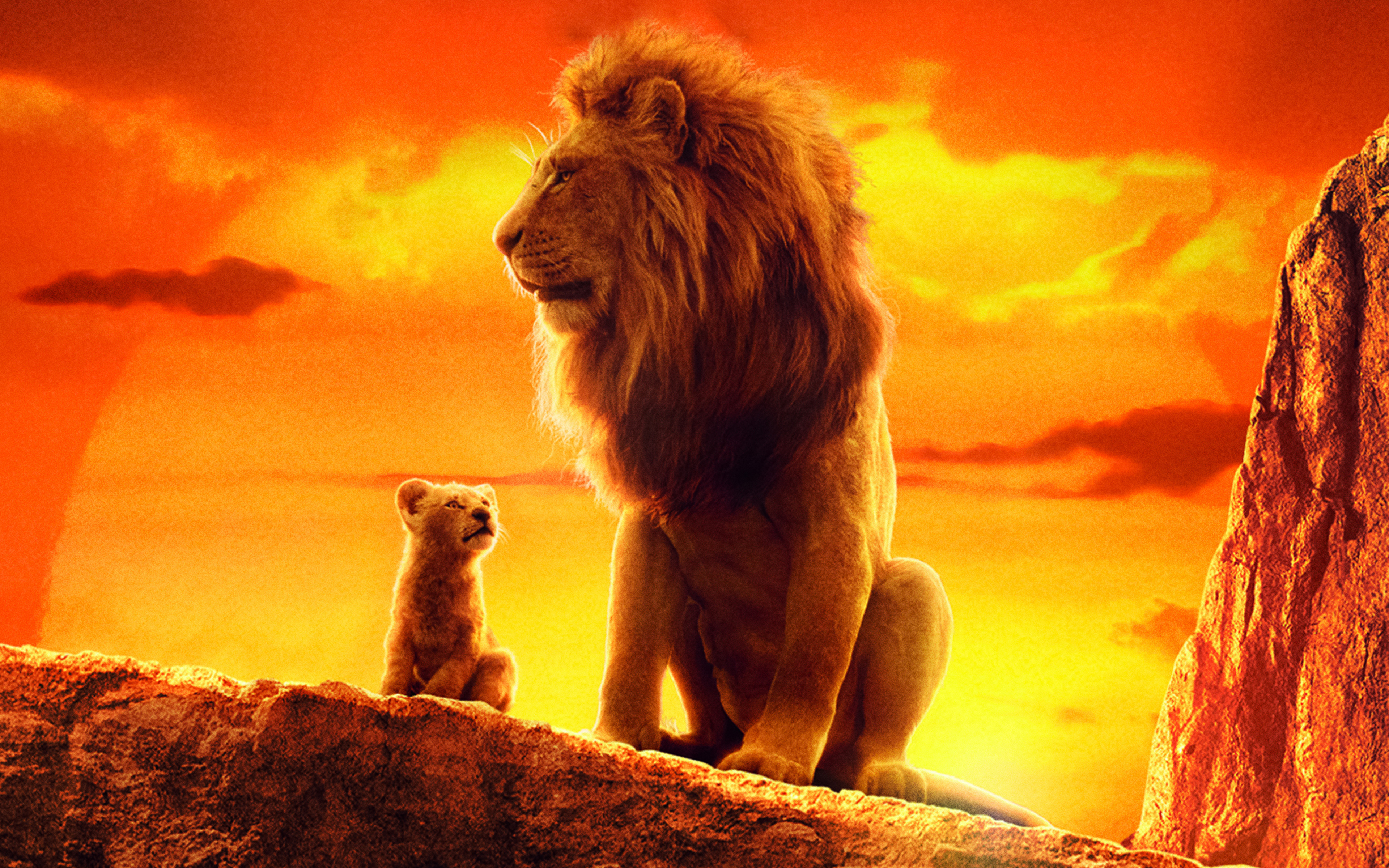 The Lion King Wallpaper 4k Ultra HD