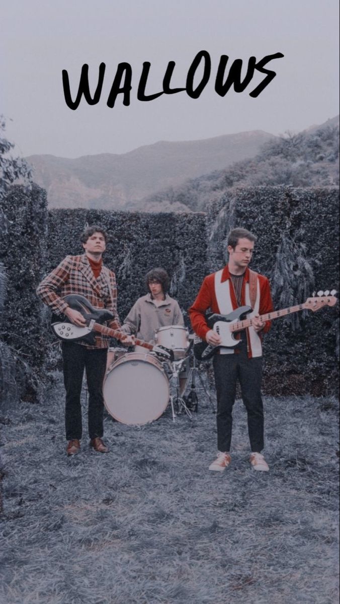 wallows #wallowsmusic #aesthetic #poster #wallpaper. Vintage music posters, Band posters, Concert posters