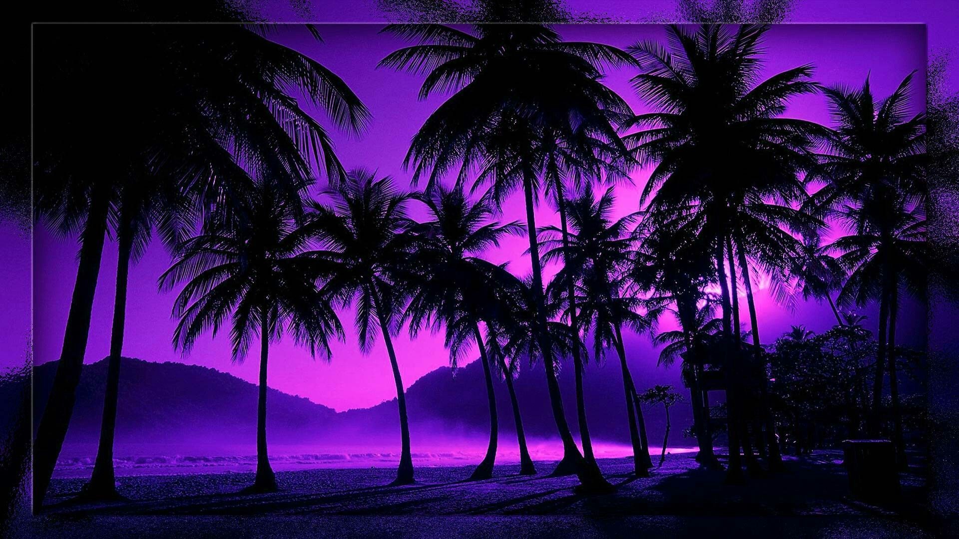 Tropical Night Sky Wallpaper