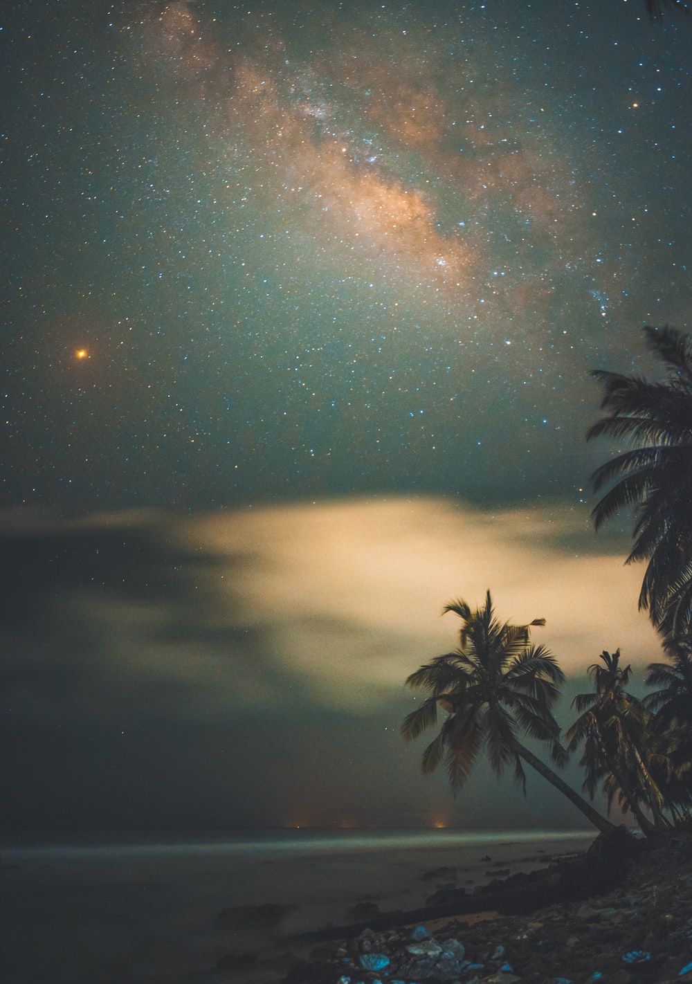 Tropical Night Picture. Download Free Image