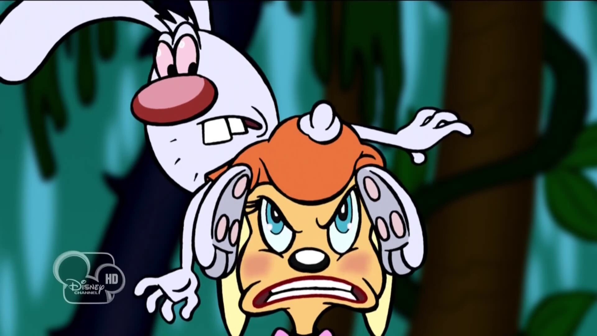 Brandy And Mr. Whiskers Wallpapers Wallpaper Cave