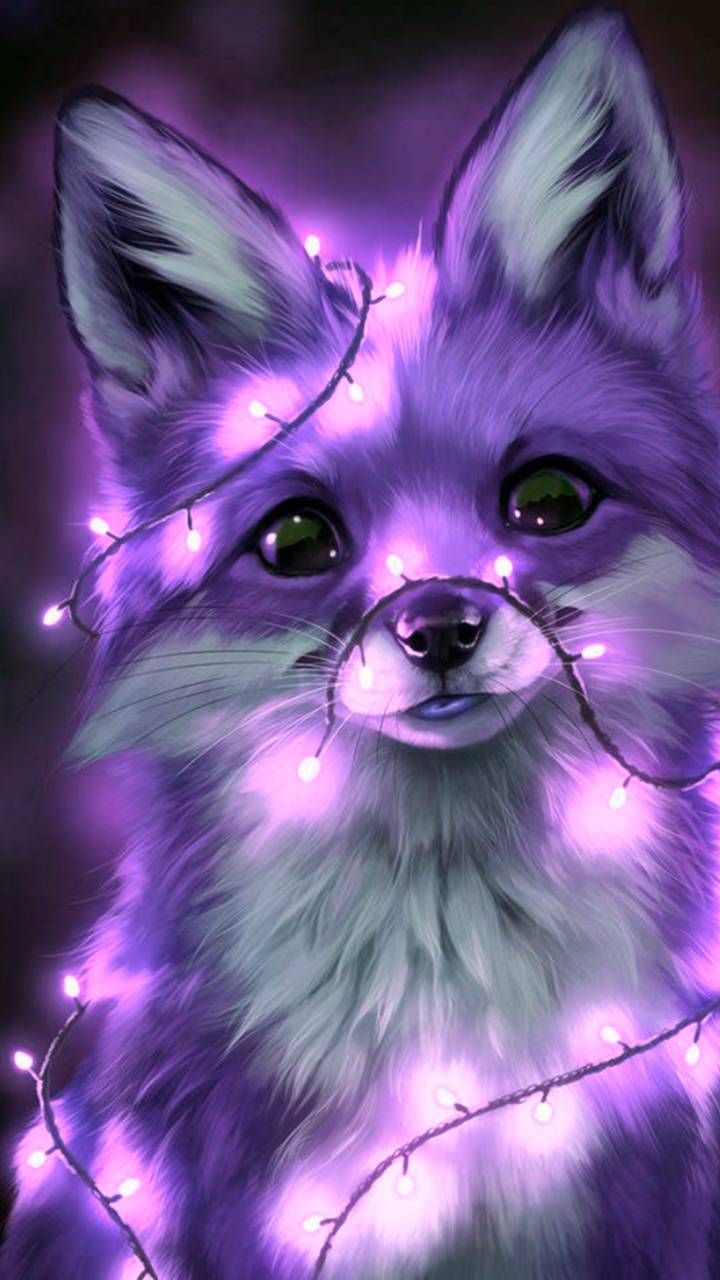 Download Fox wallpaper by KITcatKITTYcat now. Browse millions of popula. Nadide hayvanlar, Sevimli hayvan yavruları, Sevimli köpek yavruları