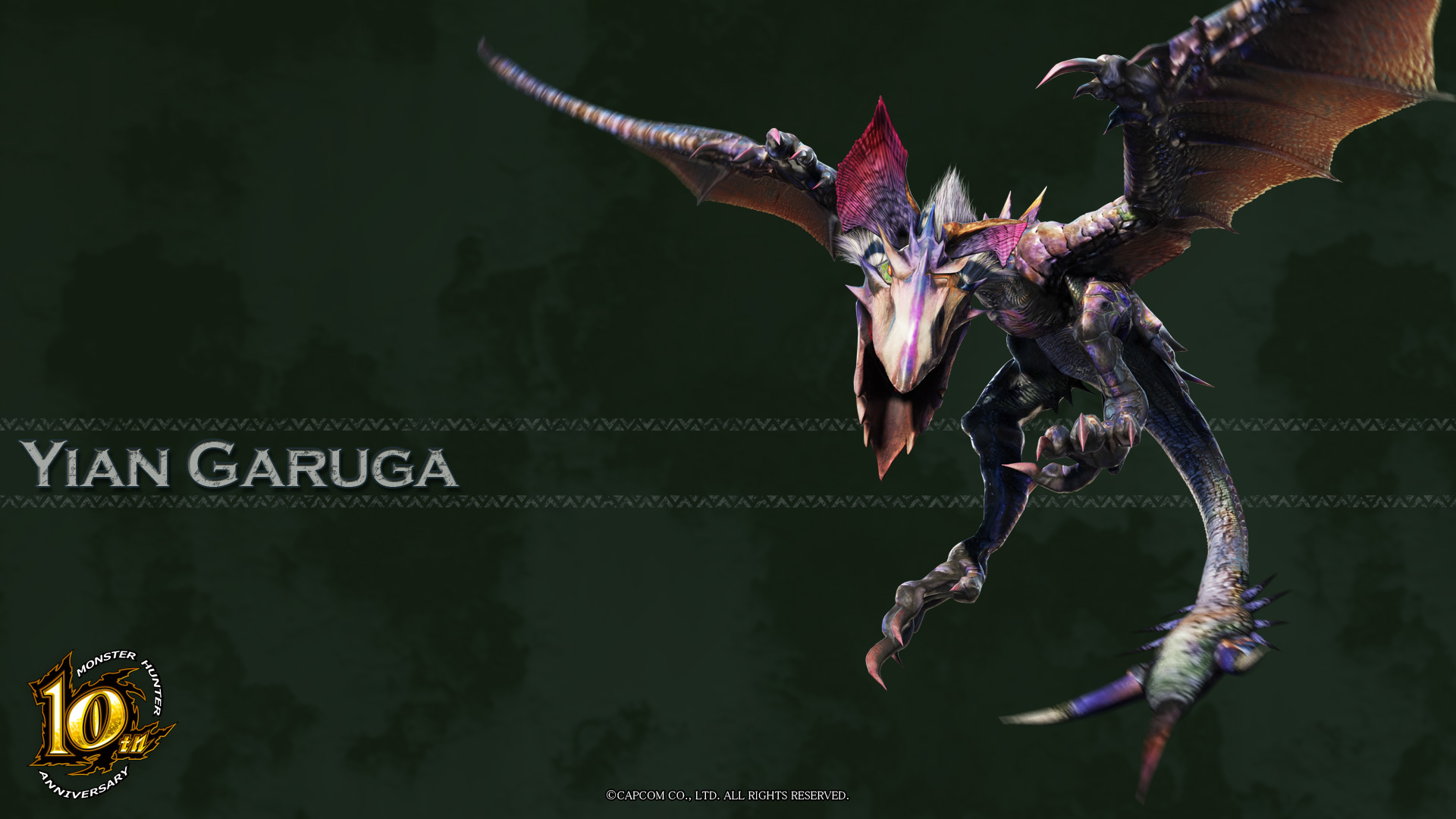 Yian Garuga (Monster Hunter) HD Wallpaper and Background