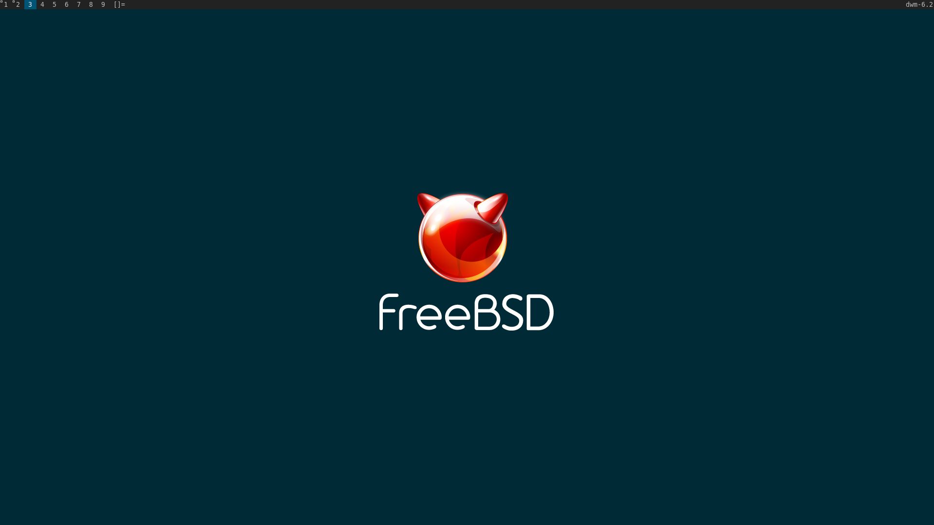 DWM dwm manually vs pkg. The FreeBSD Forums