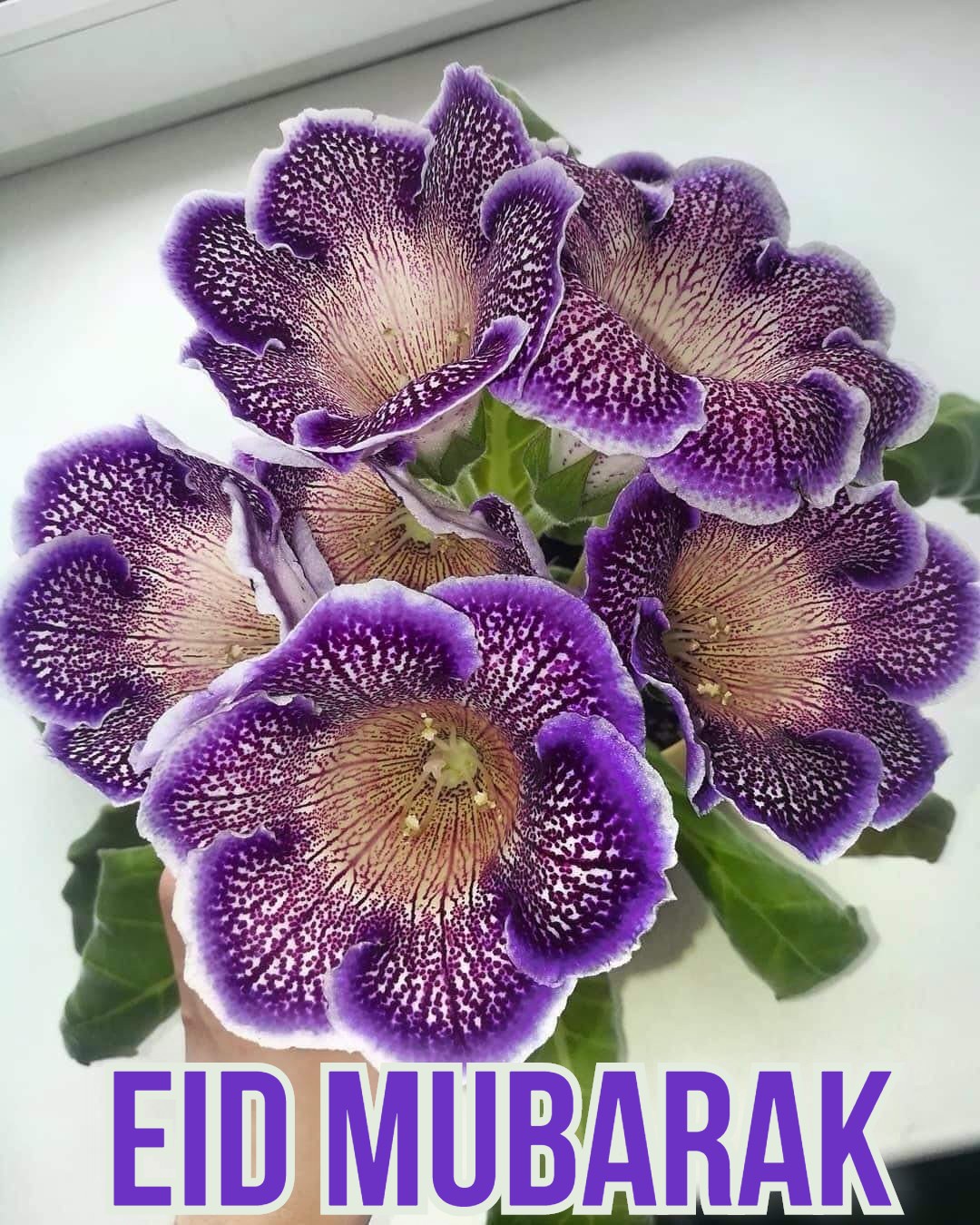 EID MUBARAK IMAGES 2022