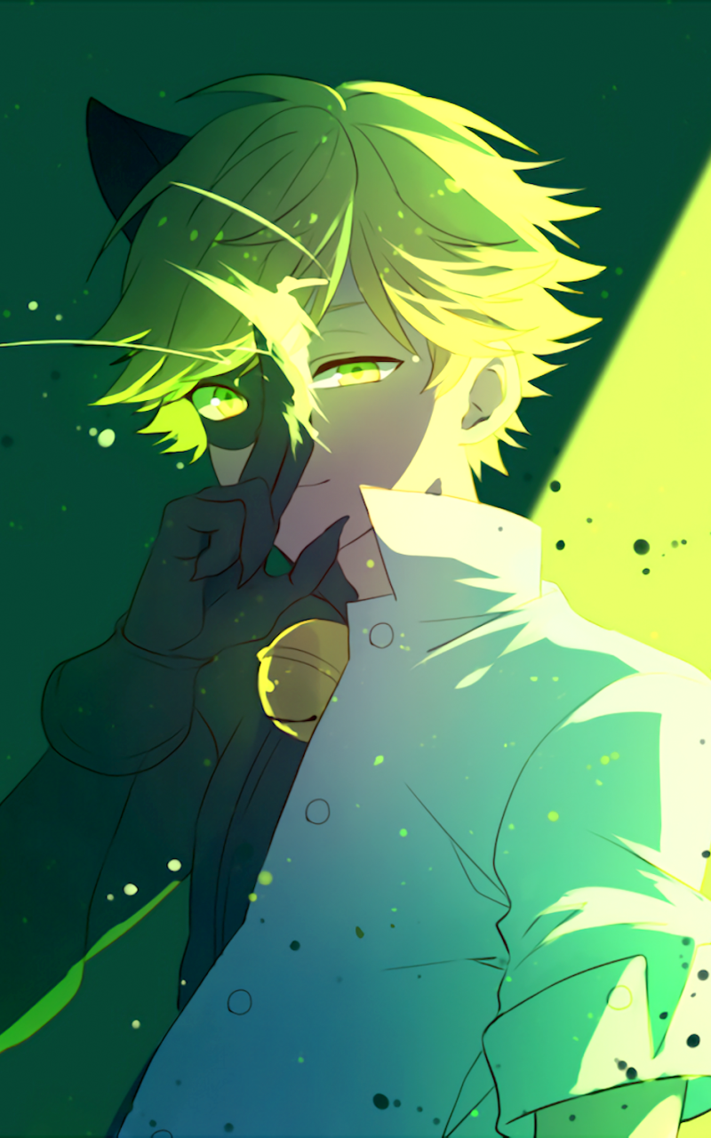 TV Show Miraculous Ladybug