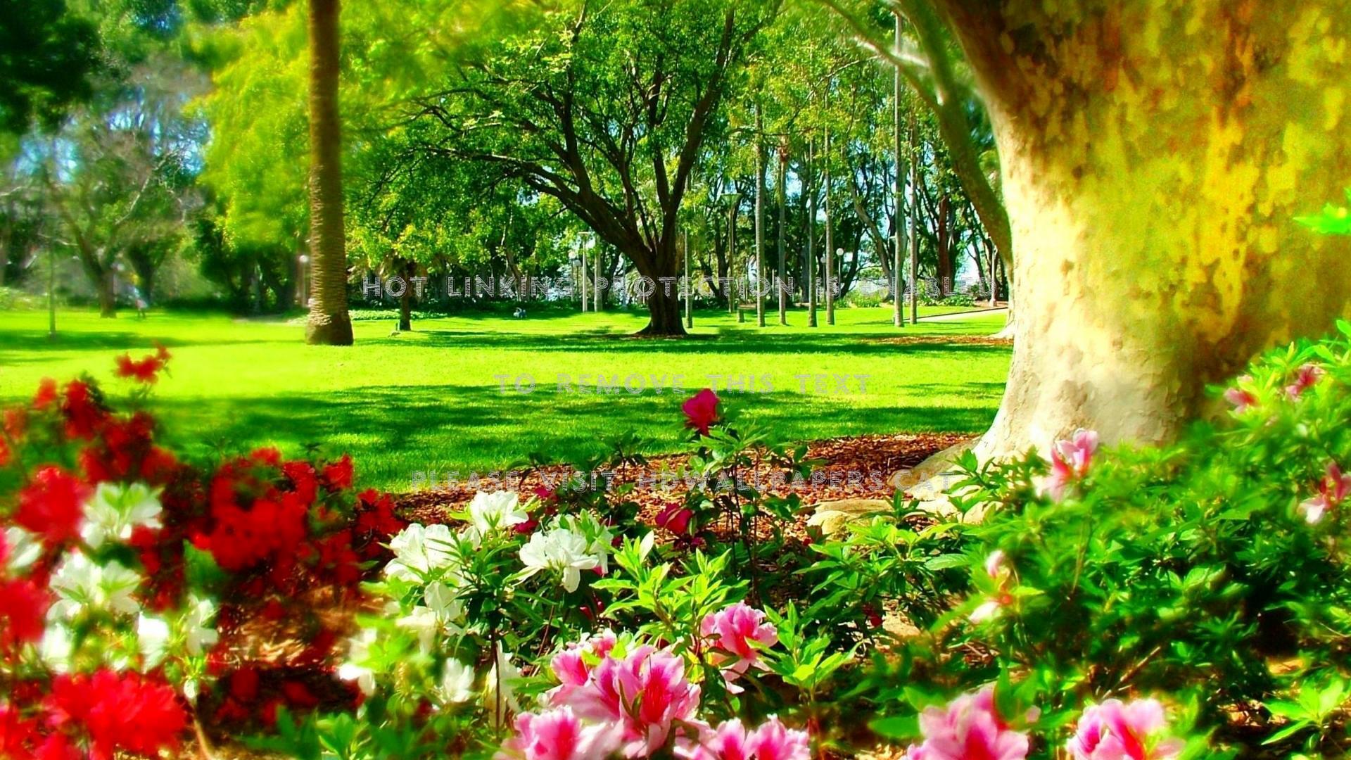 Park In Sydney Spring Time Nature Places Of