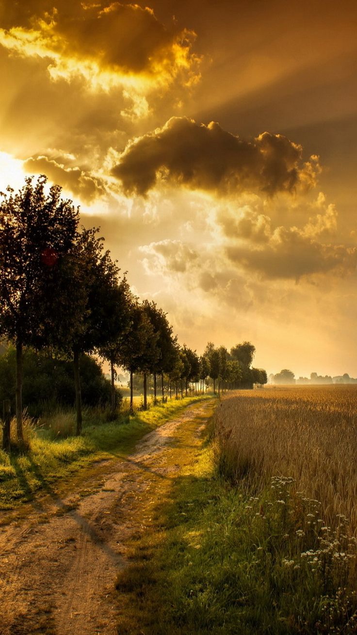 Free Dekstop Wallpaper. Autumn landscape, Landscape, Beautiful nature