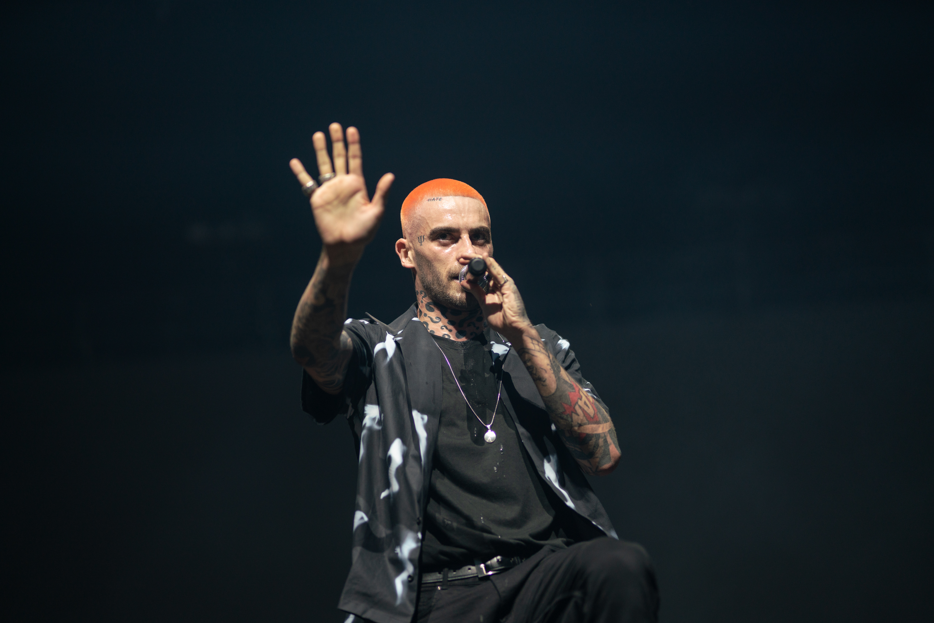 Taconafide 2018 04 21