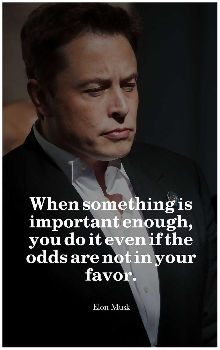 Buy Elon Musk Posters. elon musk posters. elon musk inspirational posters. elon musk quotes posters Online at Low Prices in India