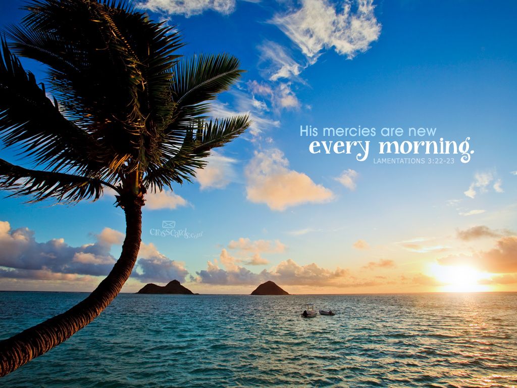 Mercies Are New. Bible verse background, Nature desktop, Verses wallpaper