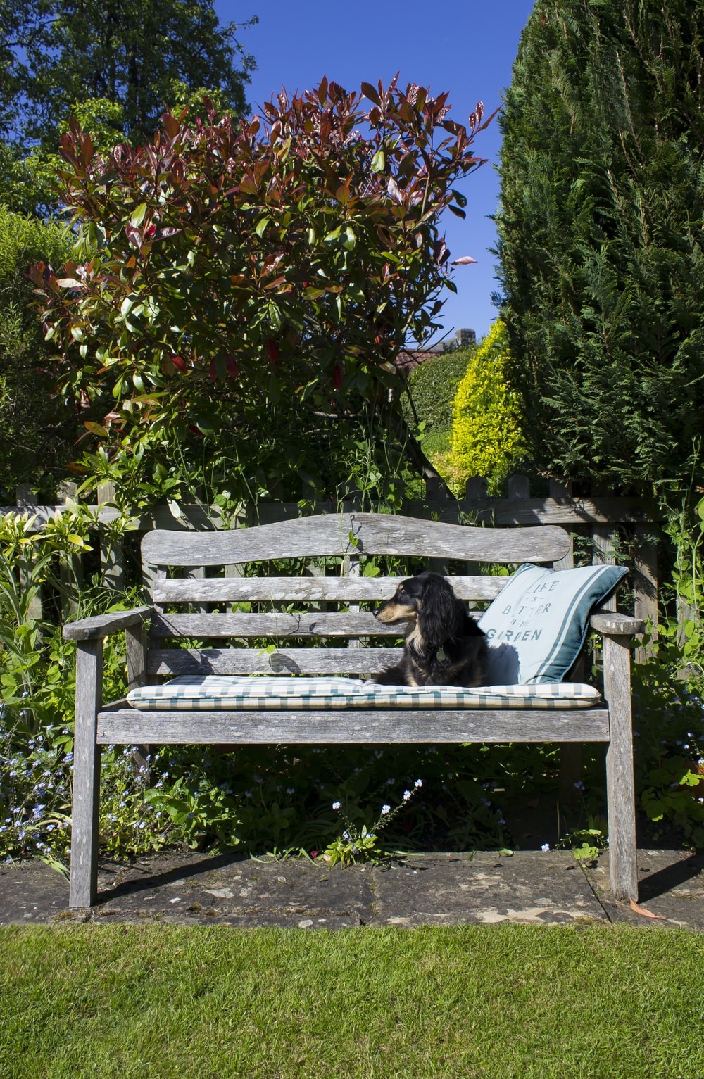Garden Bench Picture. Download Free Image