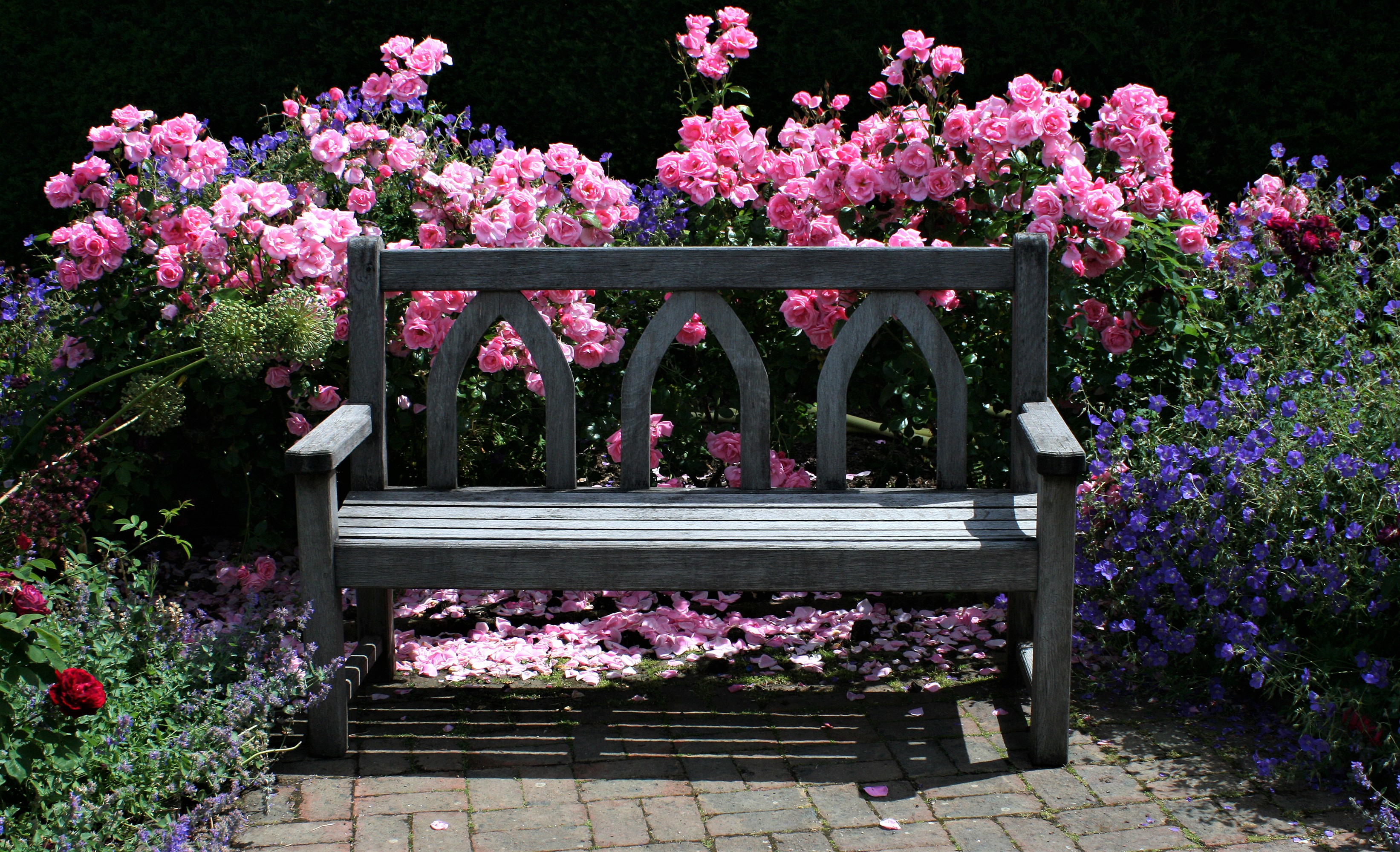 Bench in English Garden