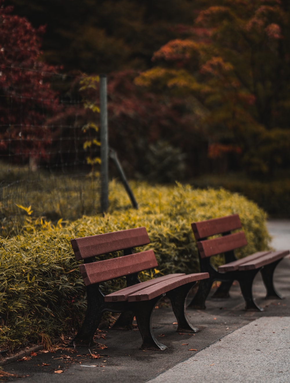 Bench Park Picture. Download Free Image