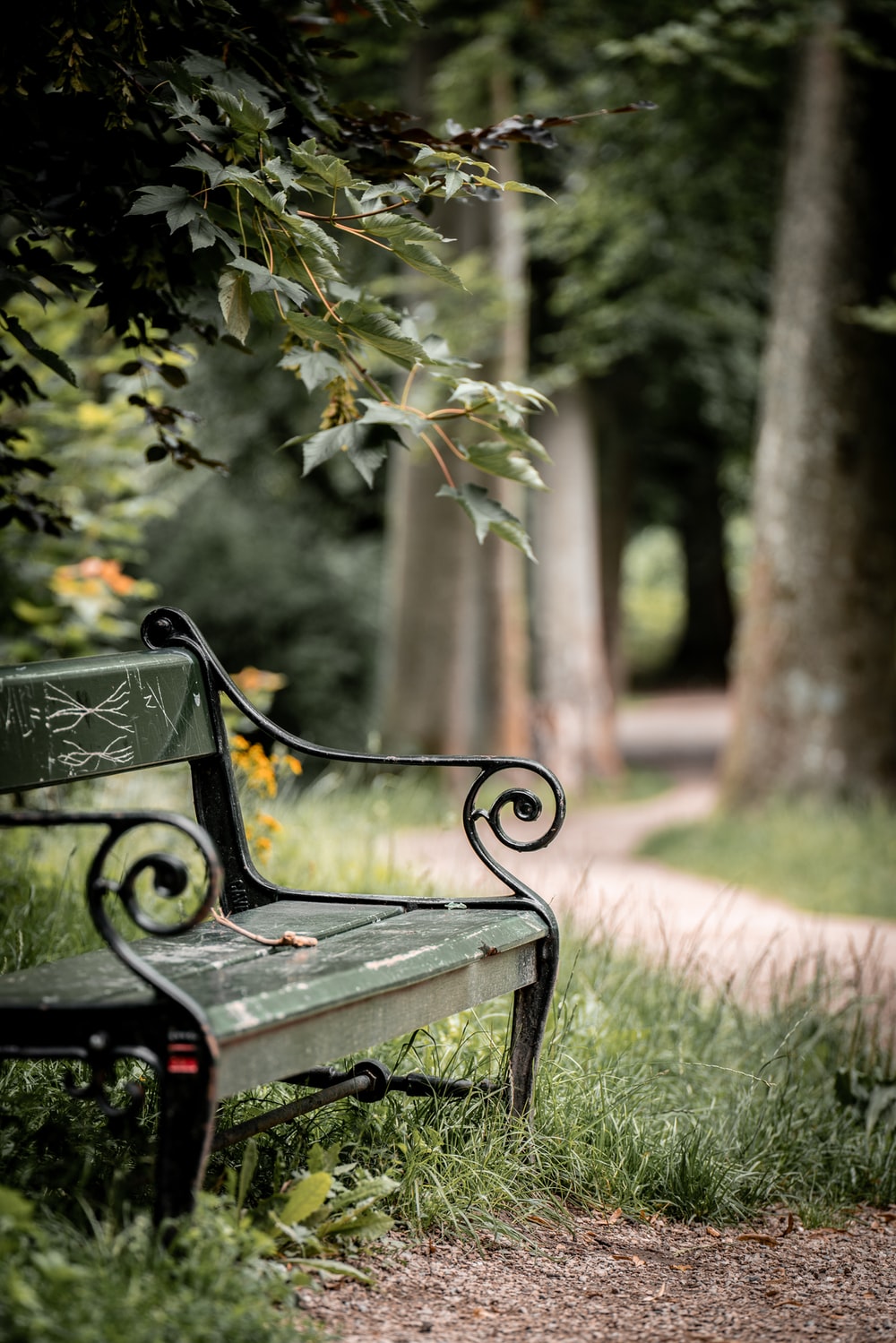 Park Bench Picture [HQ]. Download Free Image