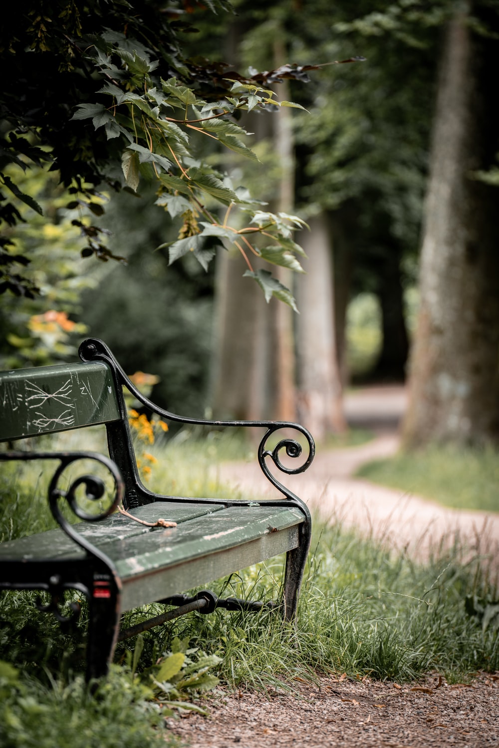 park background with bench