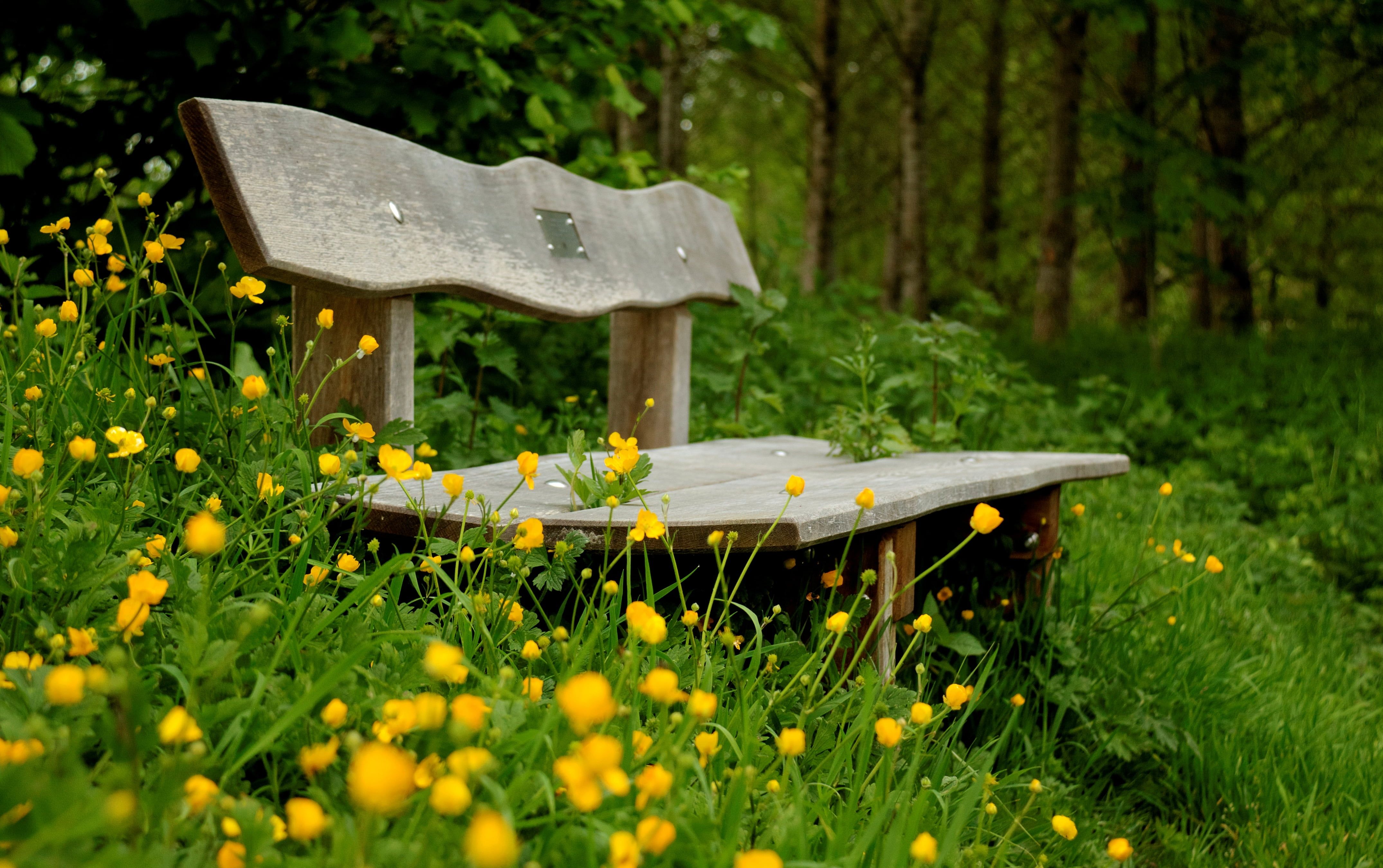 brown wooden bench #greens #flowers #bench #green #background #widescreen # Wallpaper #vegetation #mood #yellow. Outdoor garden bench, Garden projects, Diy garden