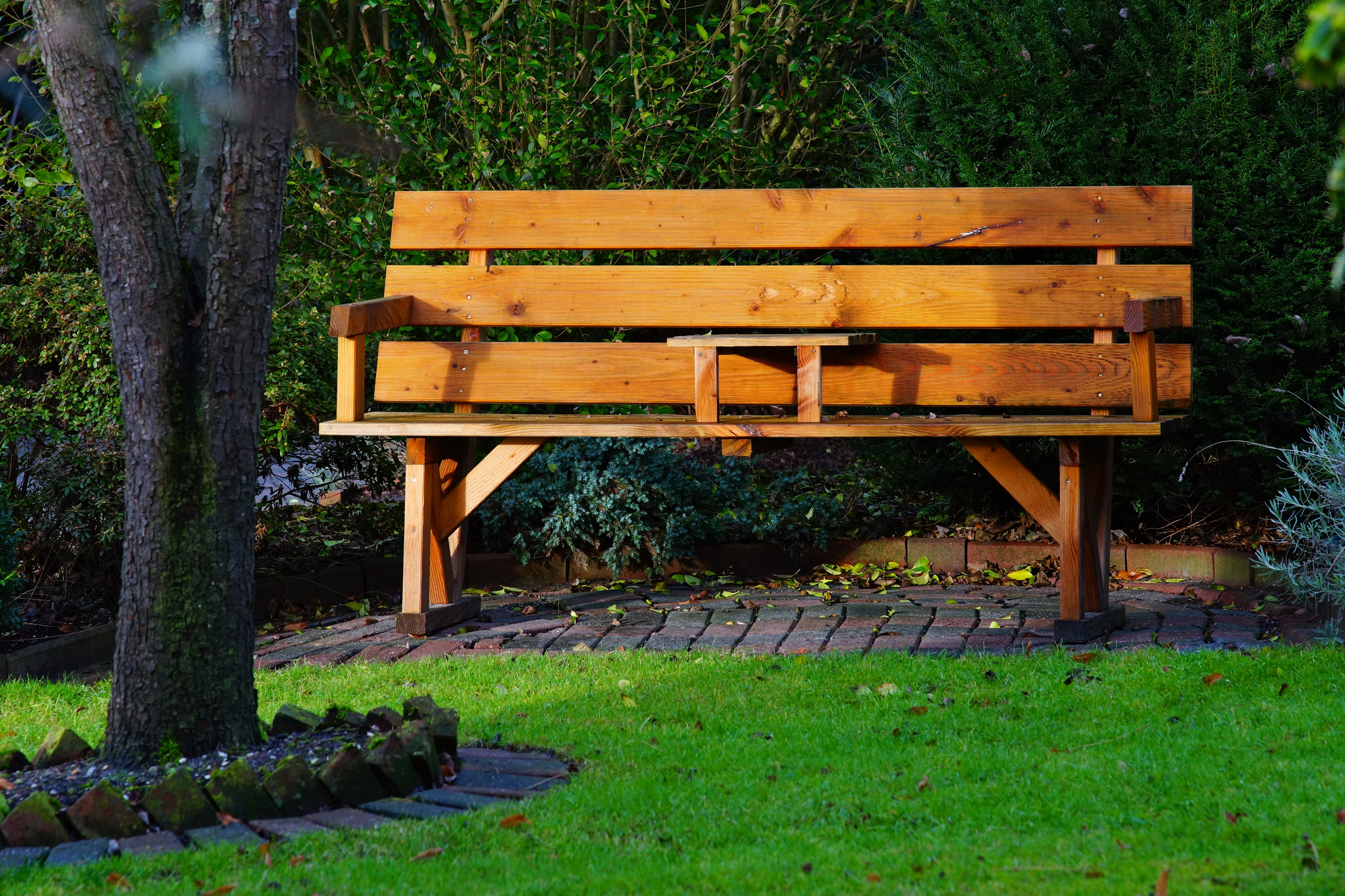 Best Park Bench Photo · 100% Free Downloads