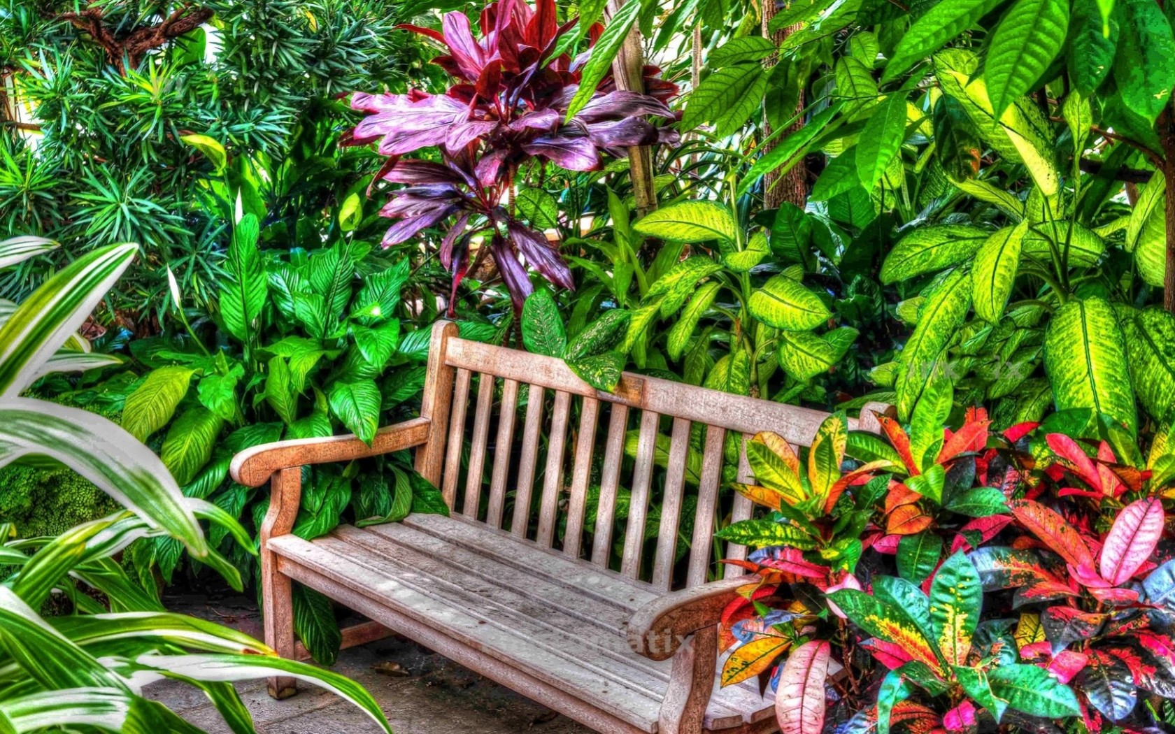 Beautiful Garden Bench HD Wallpaper 1680x1050 Wallpaper .net