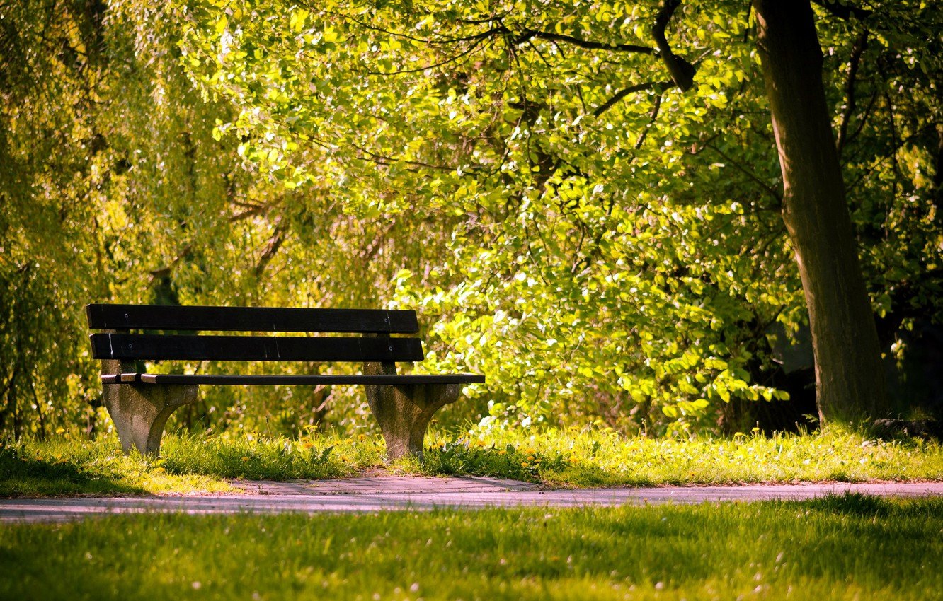 Wallpaper summer, Park, bench image for desktop, section разное